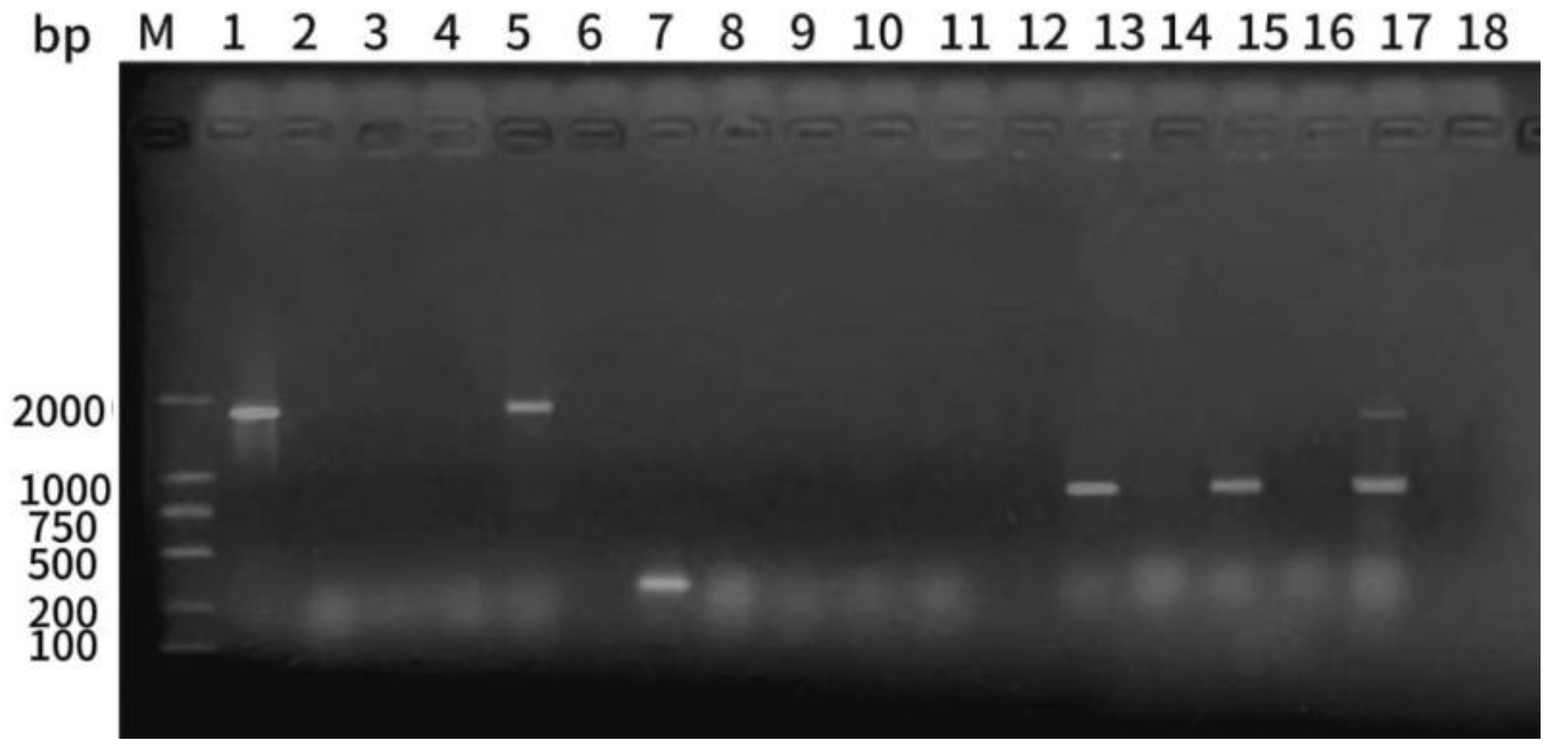 Preprints 106884 g006