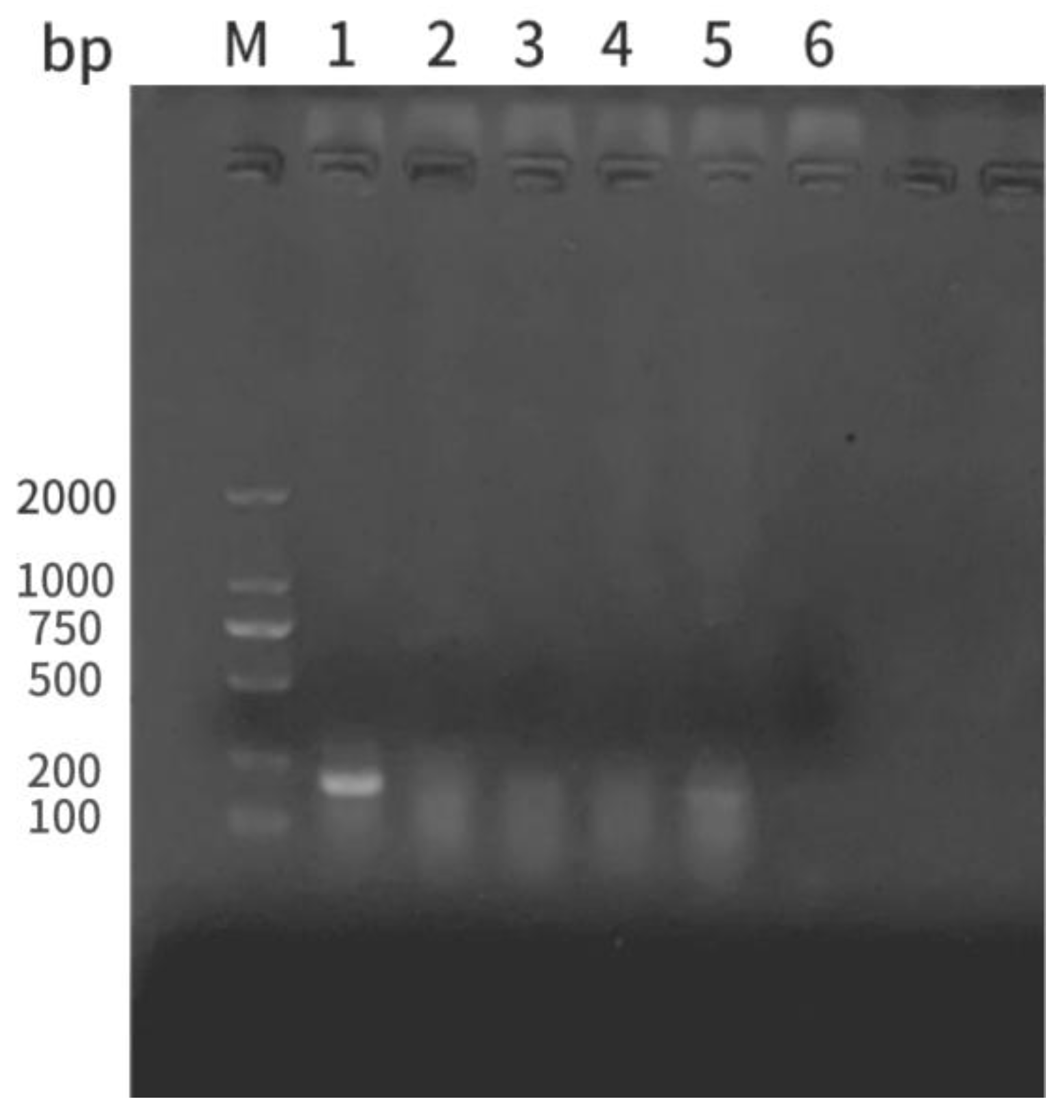 Preprints 106884 g007