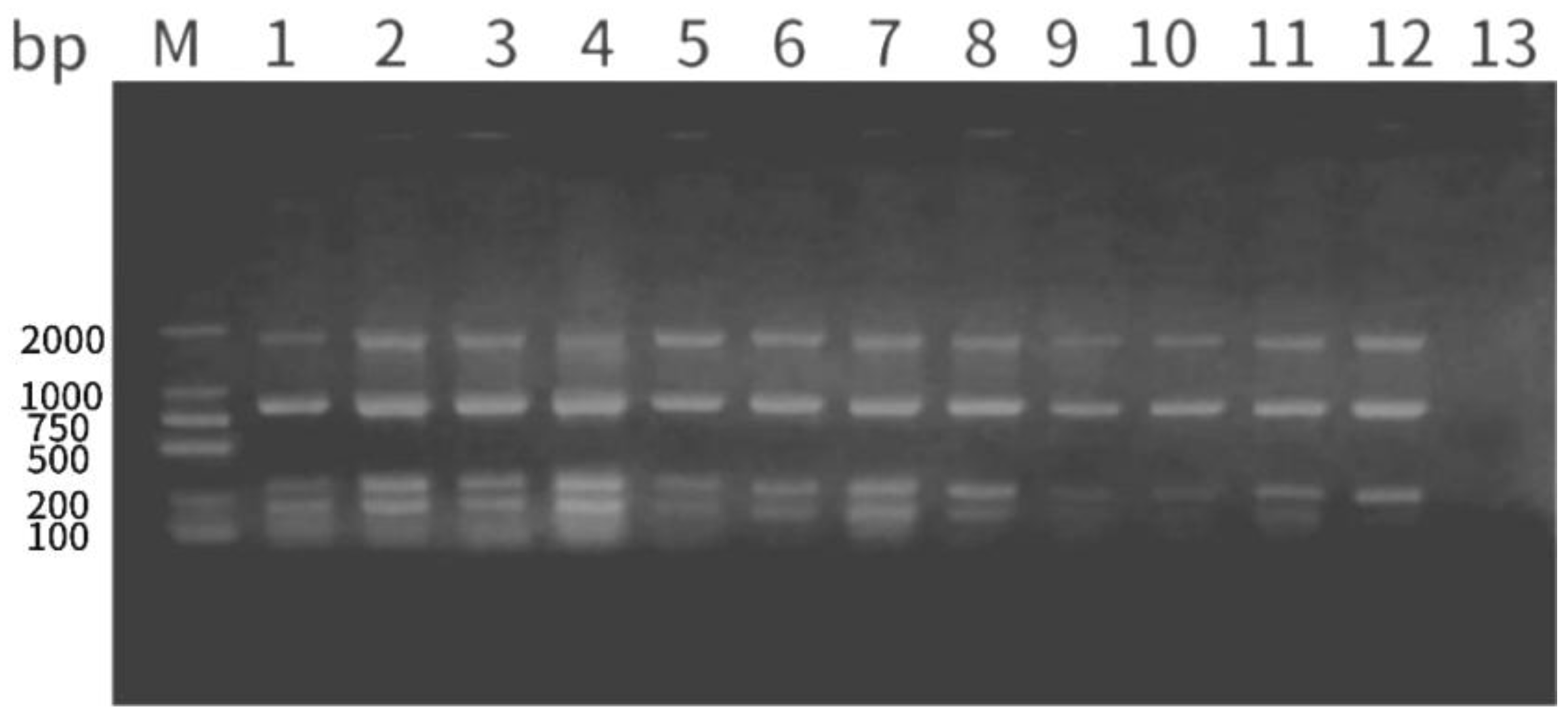 Preprints 106884 g008