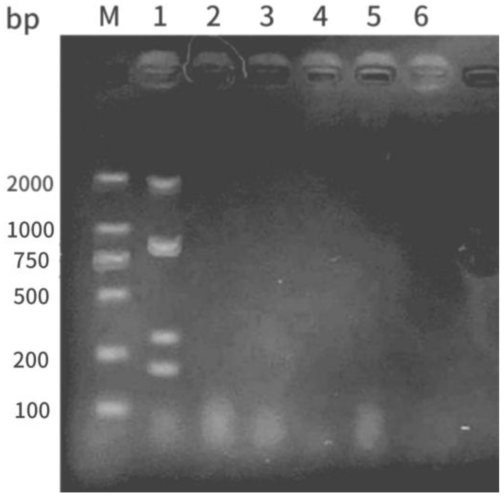 Preprints 106884 g009