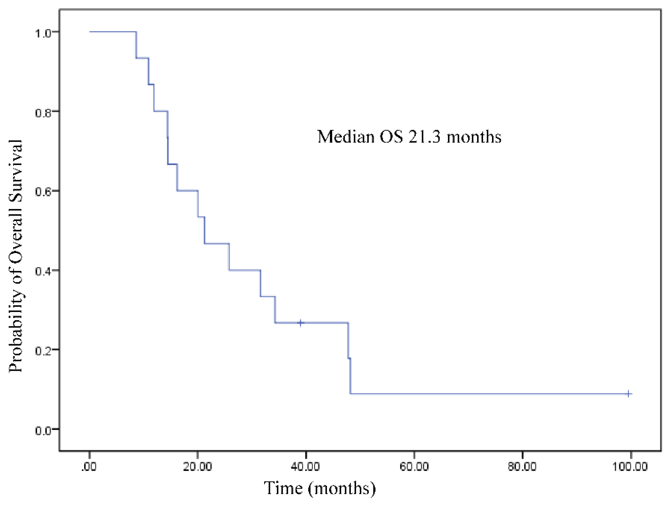 Preprints 98538 g006