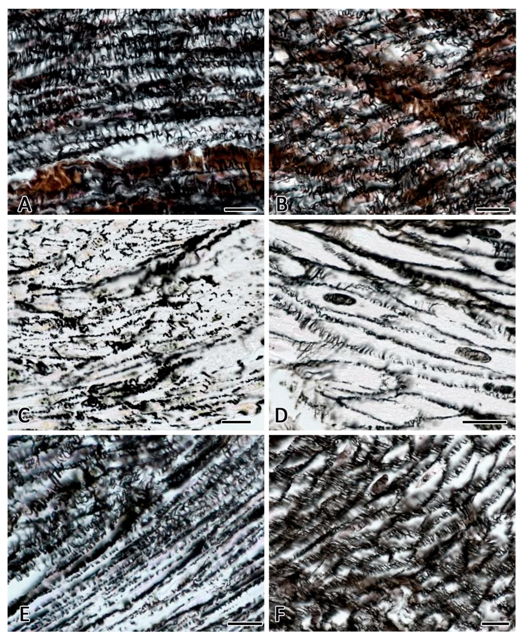 Preprints 80394 g002