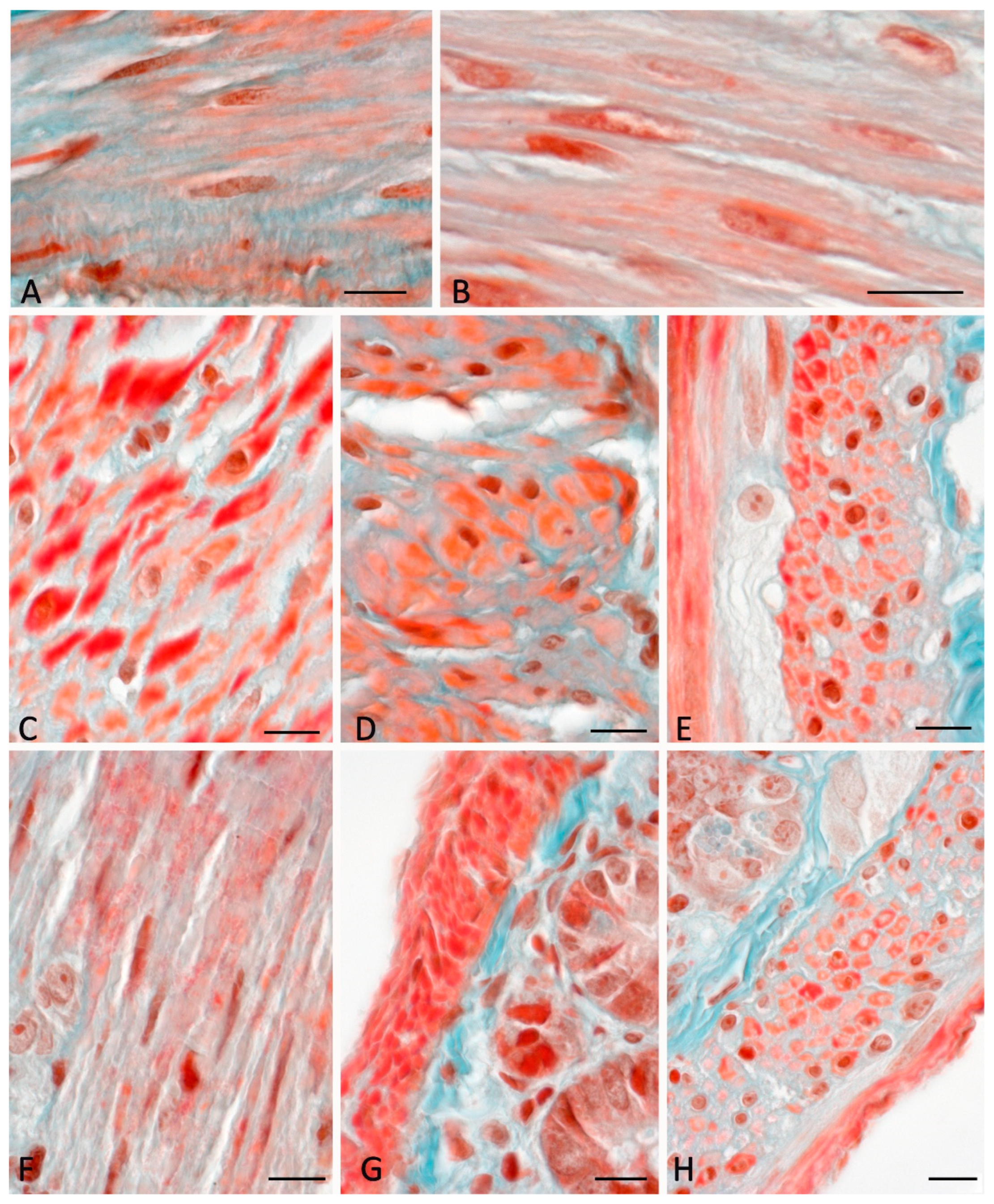 Preprints 80394 g003