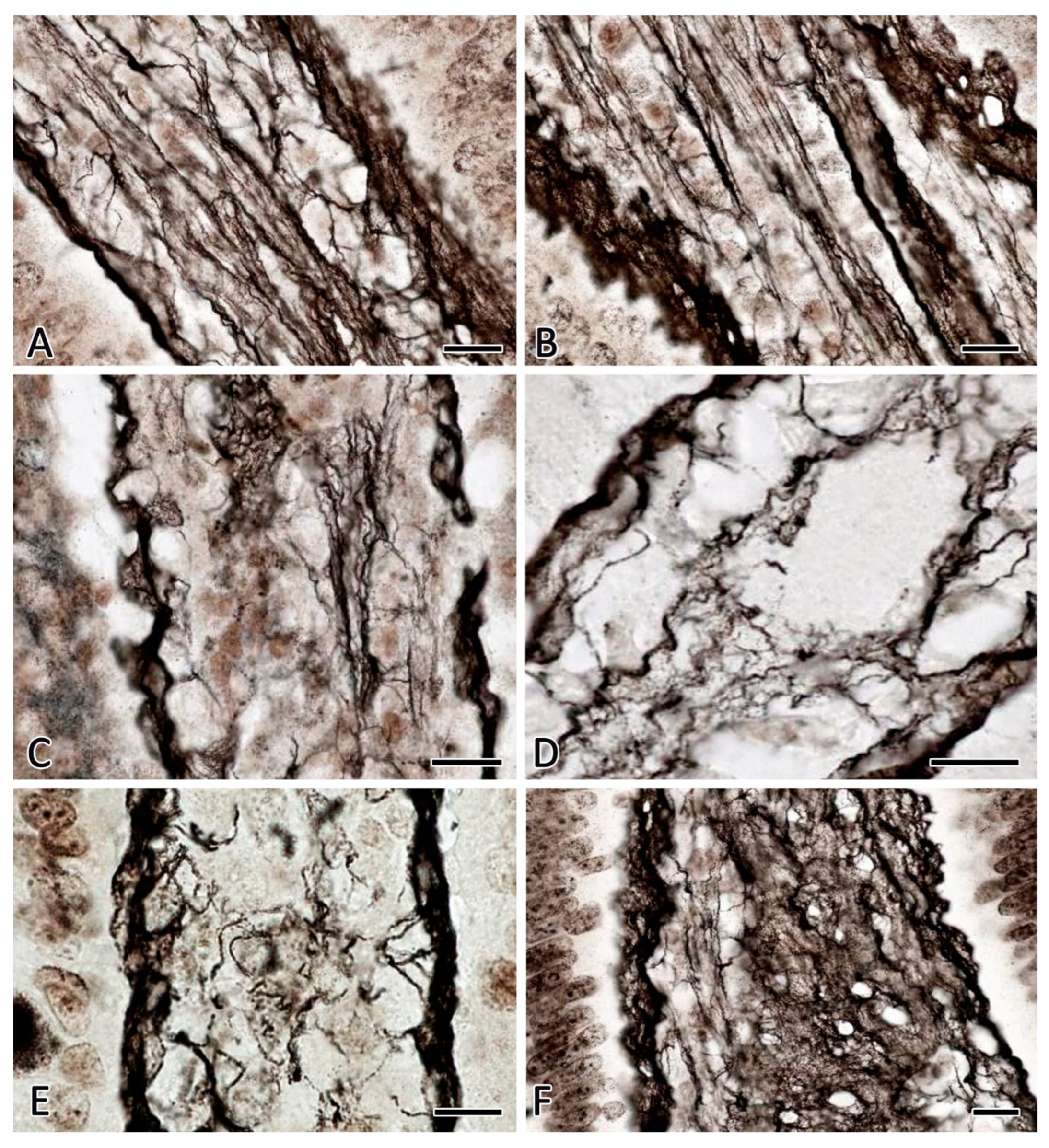 Preprints 80394 g005