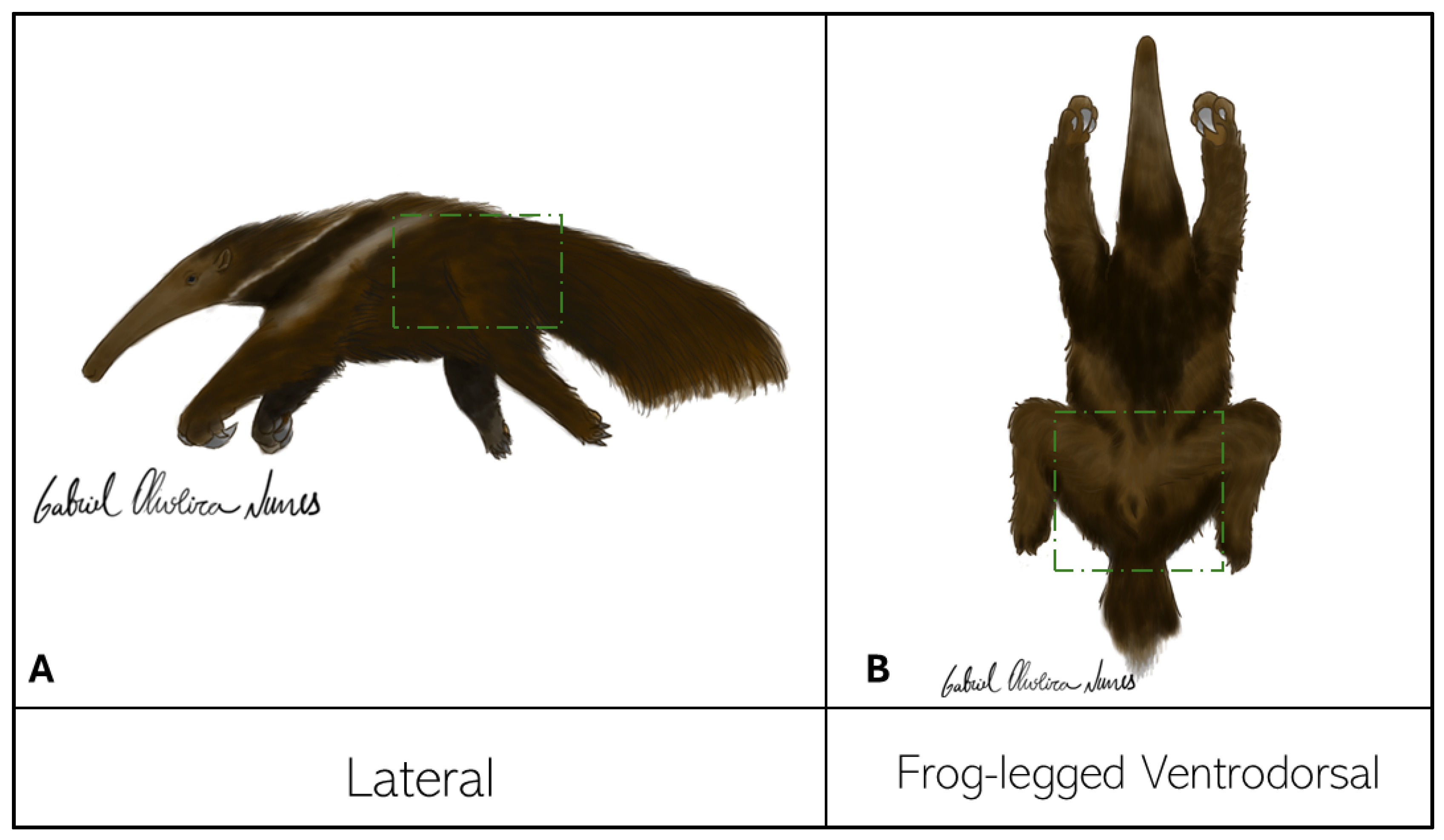 Preprints 105237 g001