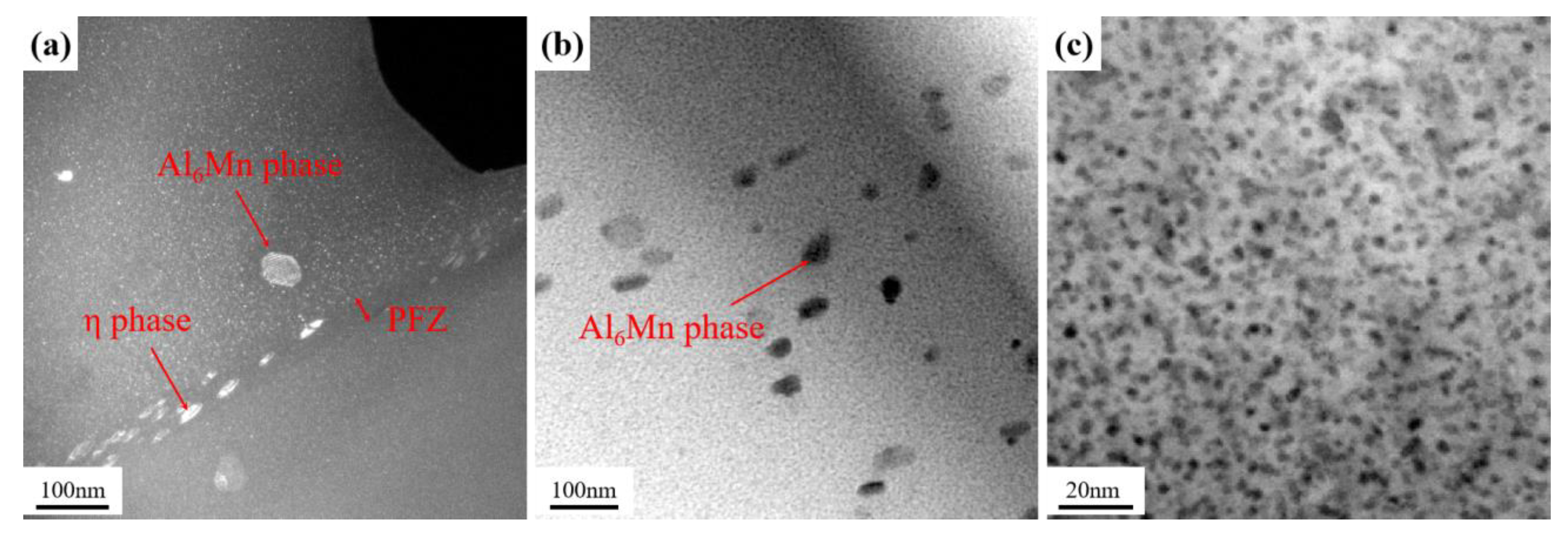 Preprints 115844 g005