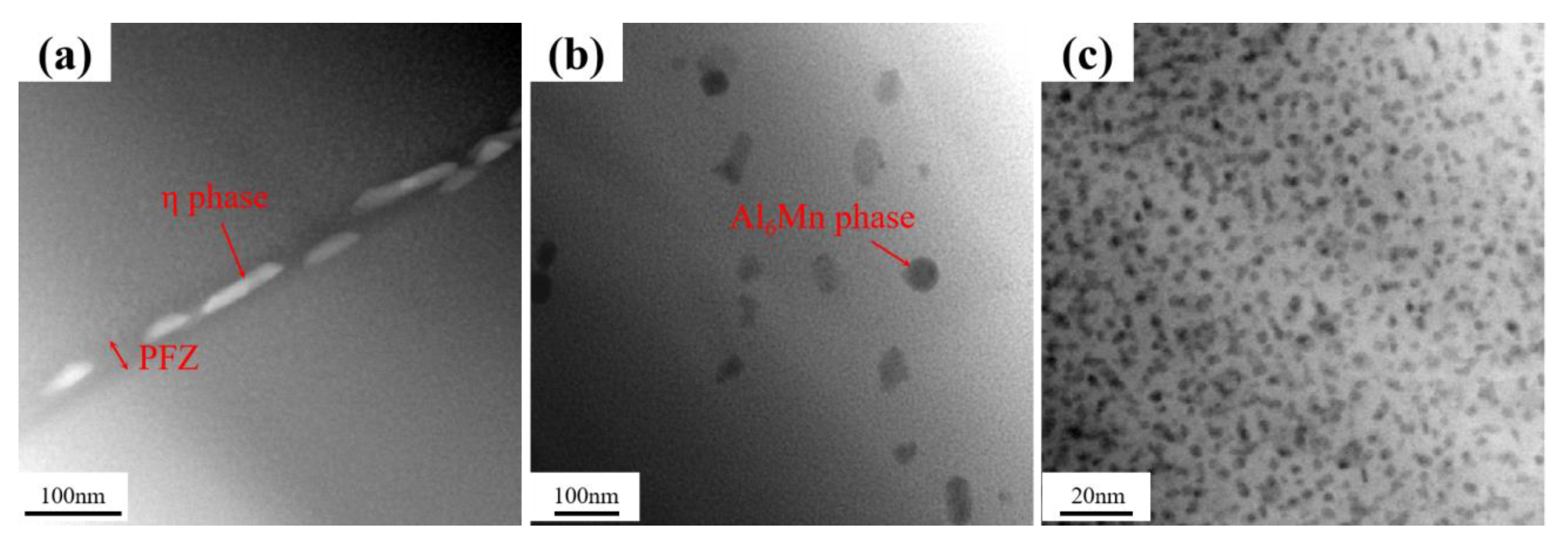 Preprints 115844 g006