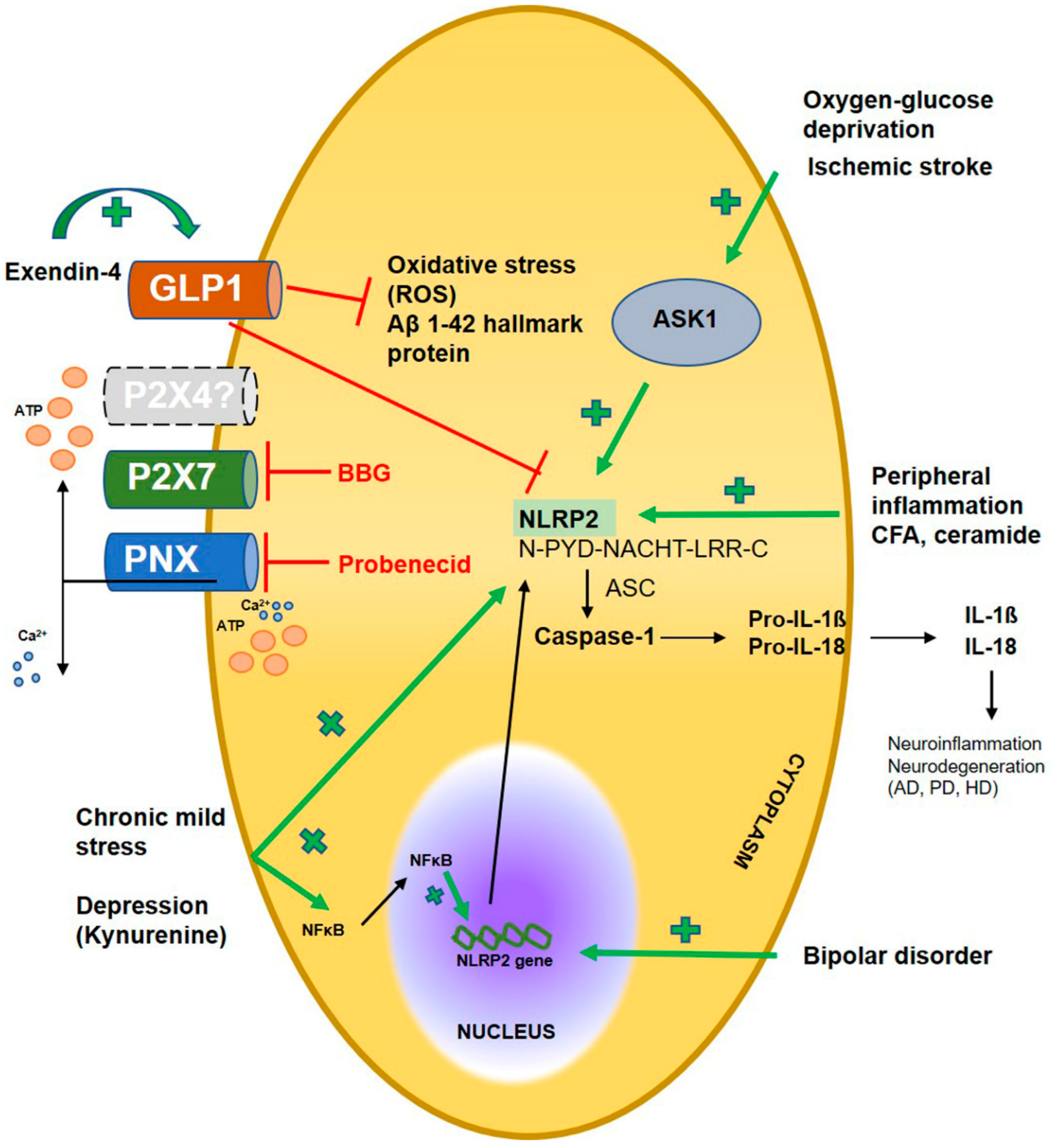 Preprints 78377 g004