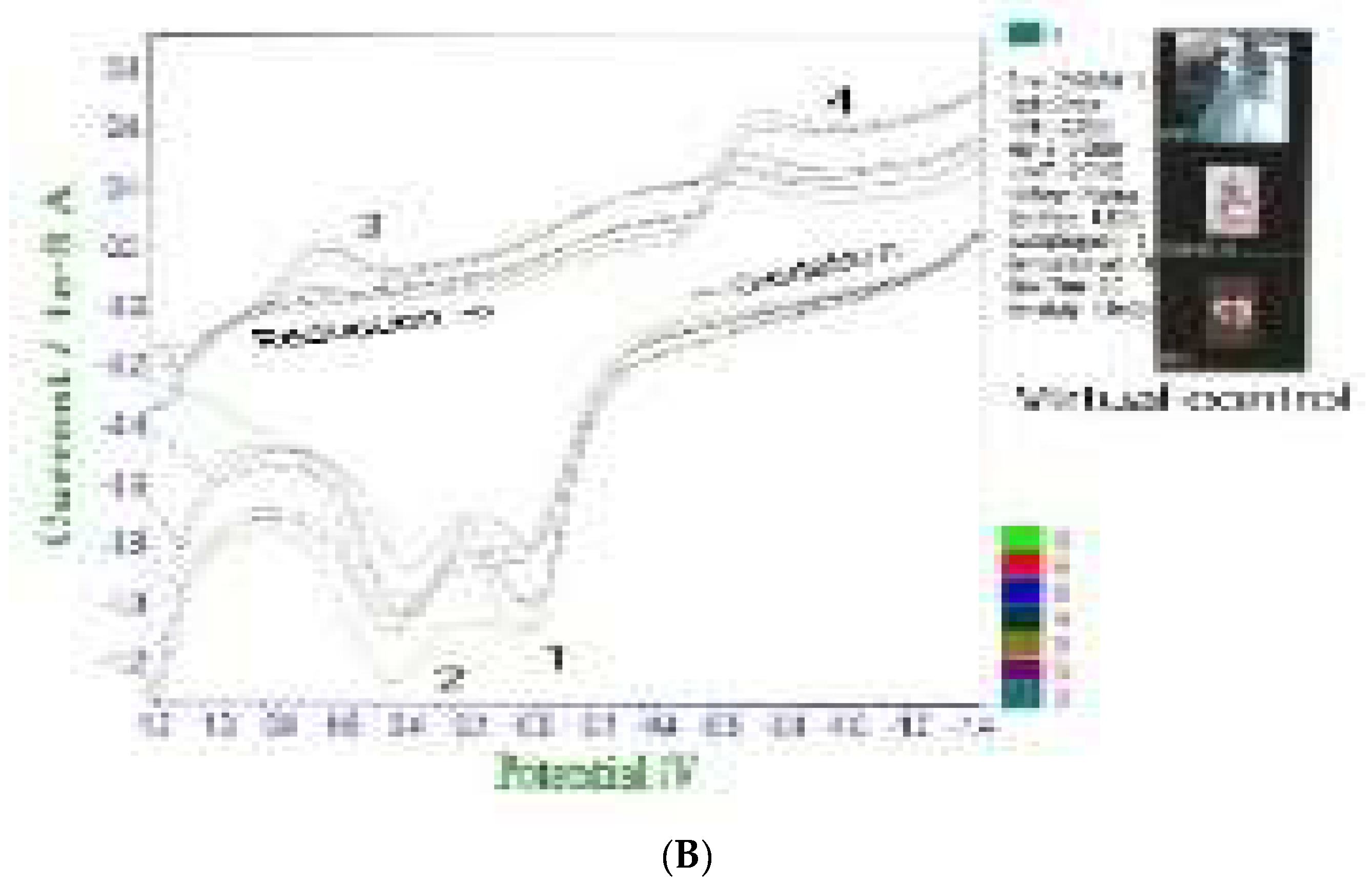 Preprints 116212 g003b