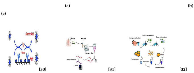 Preprints 116212 i001