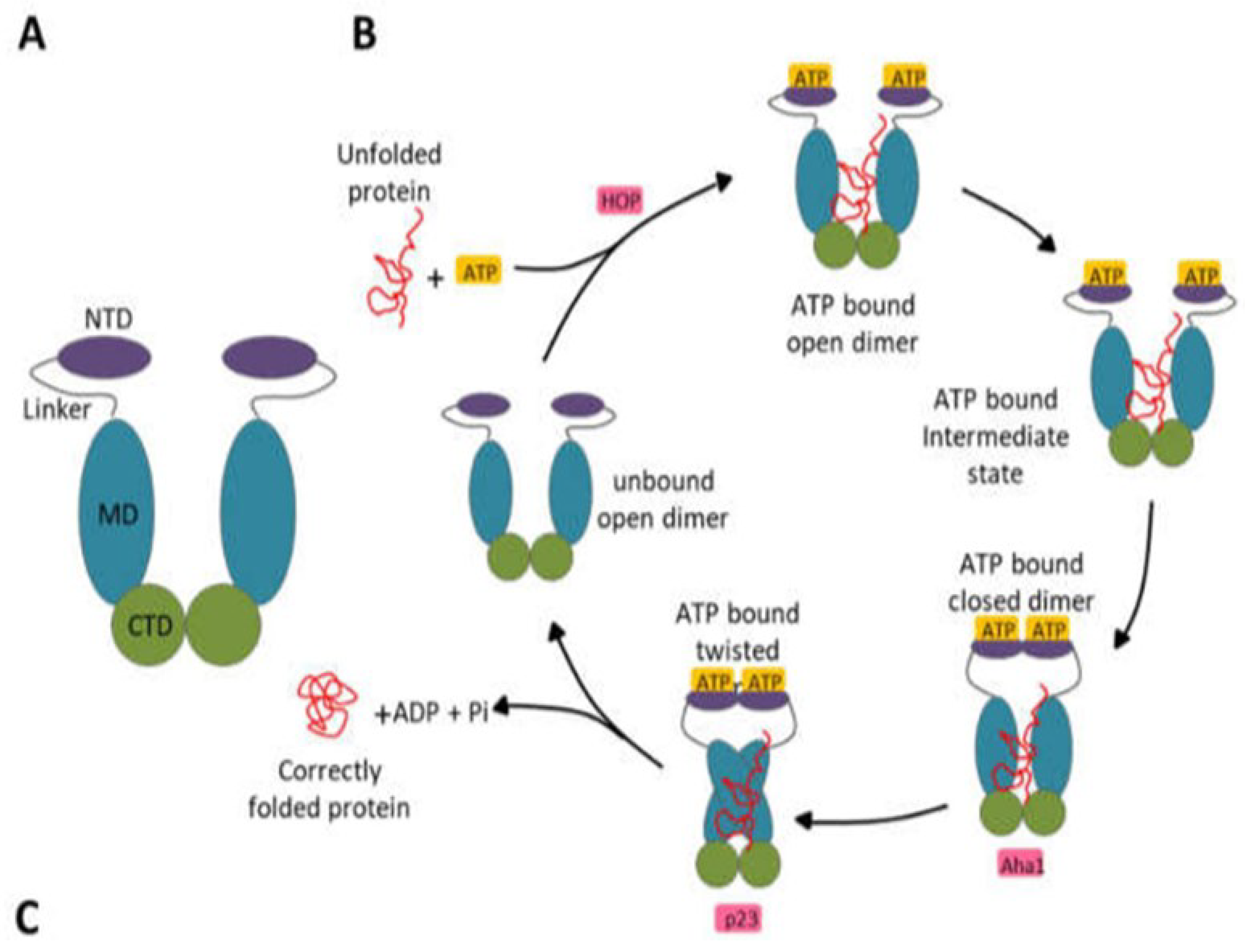 Preprints 97288 g002