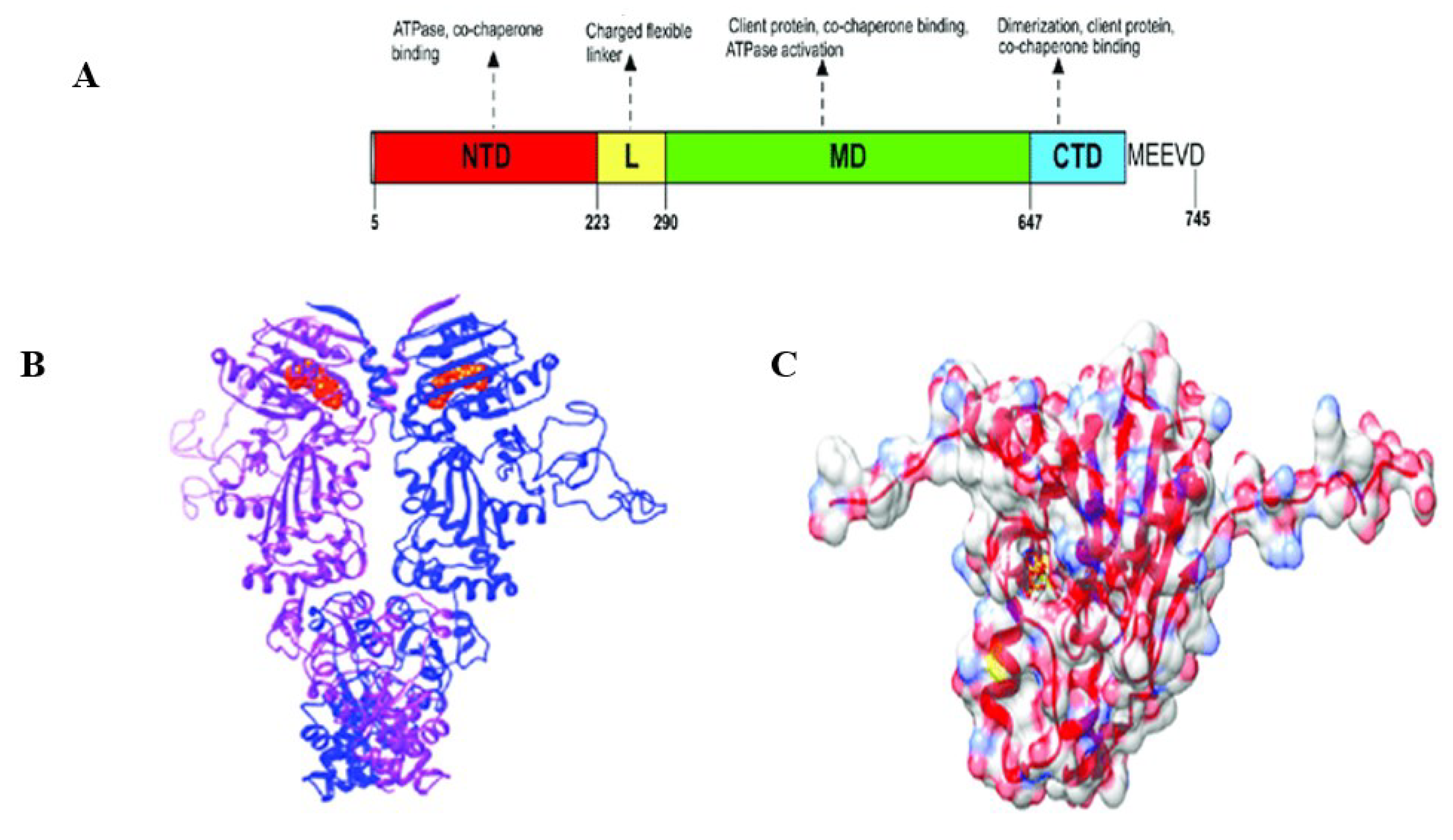 Preprints 97288 g003