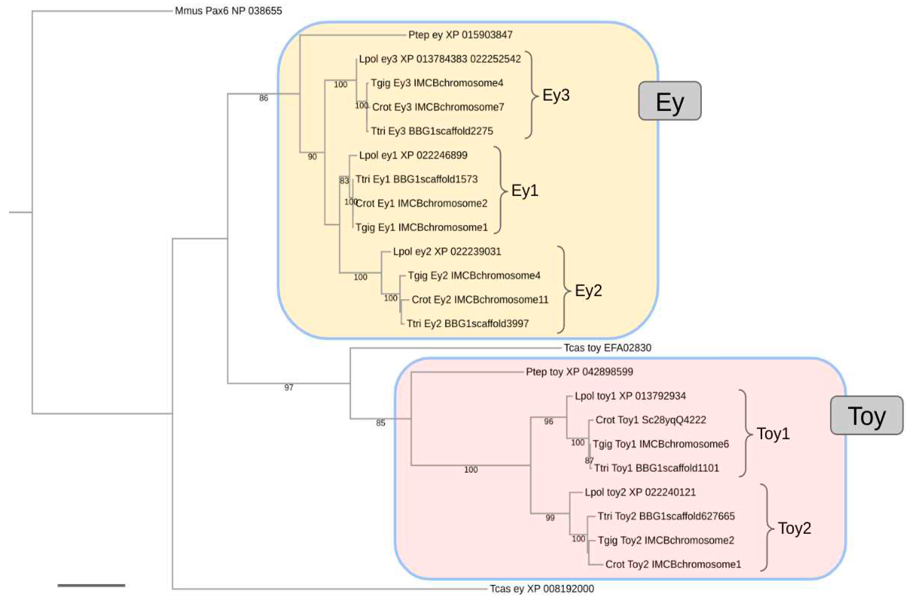 Preprints 84071 g002