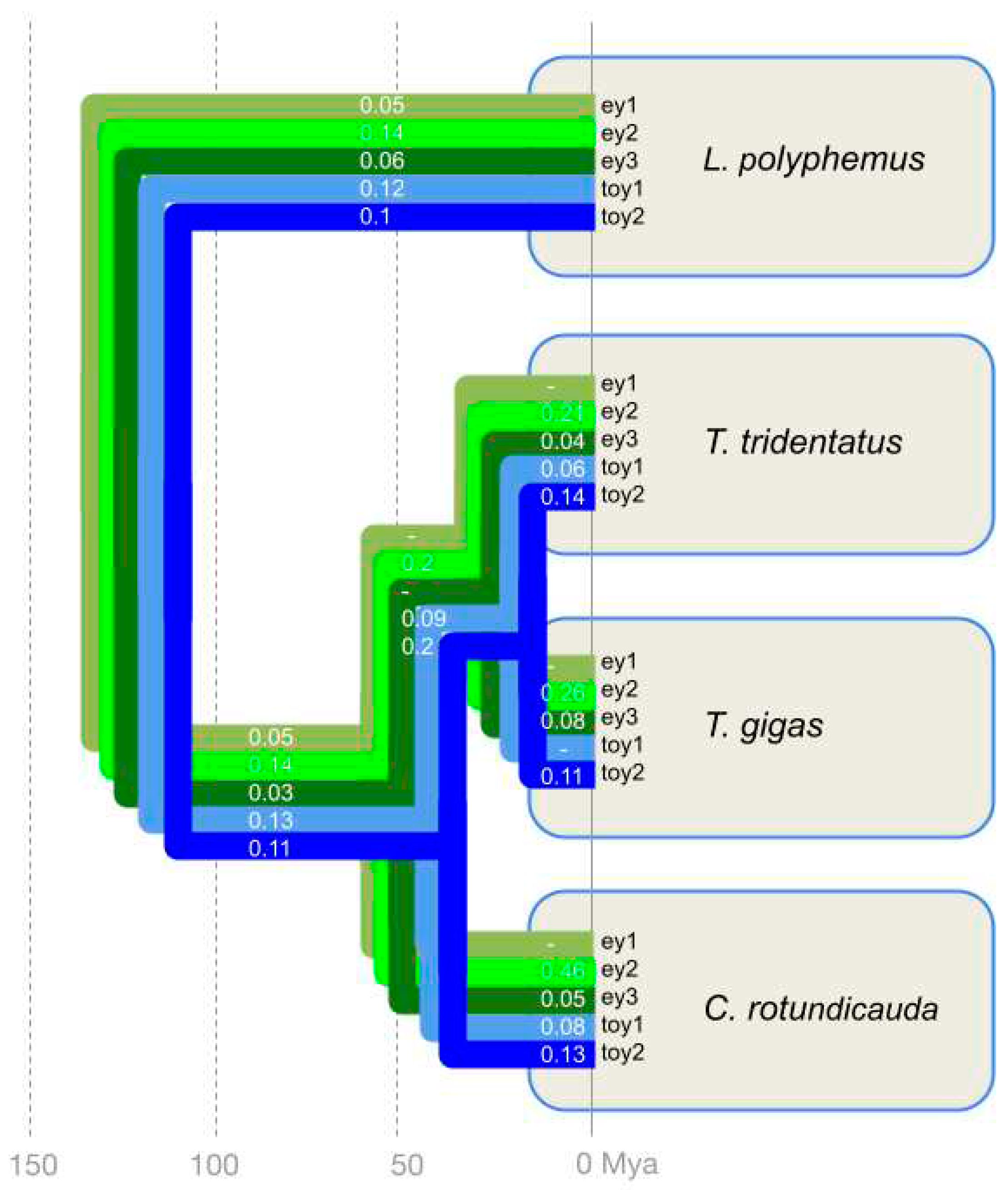 Preprints 84071 g003