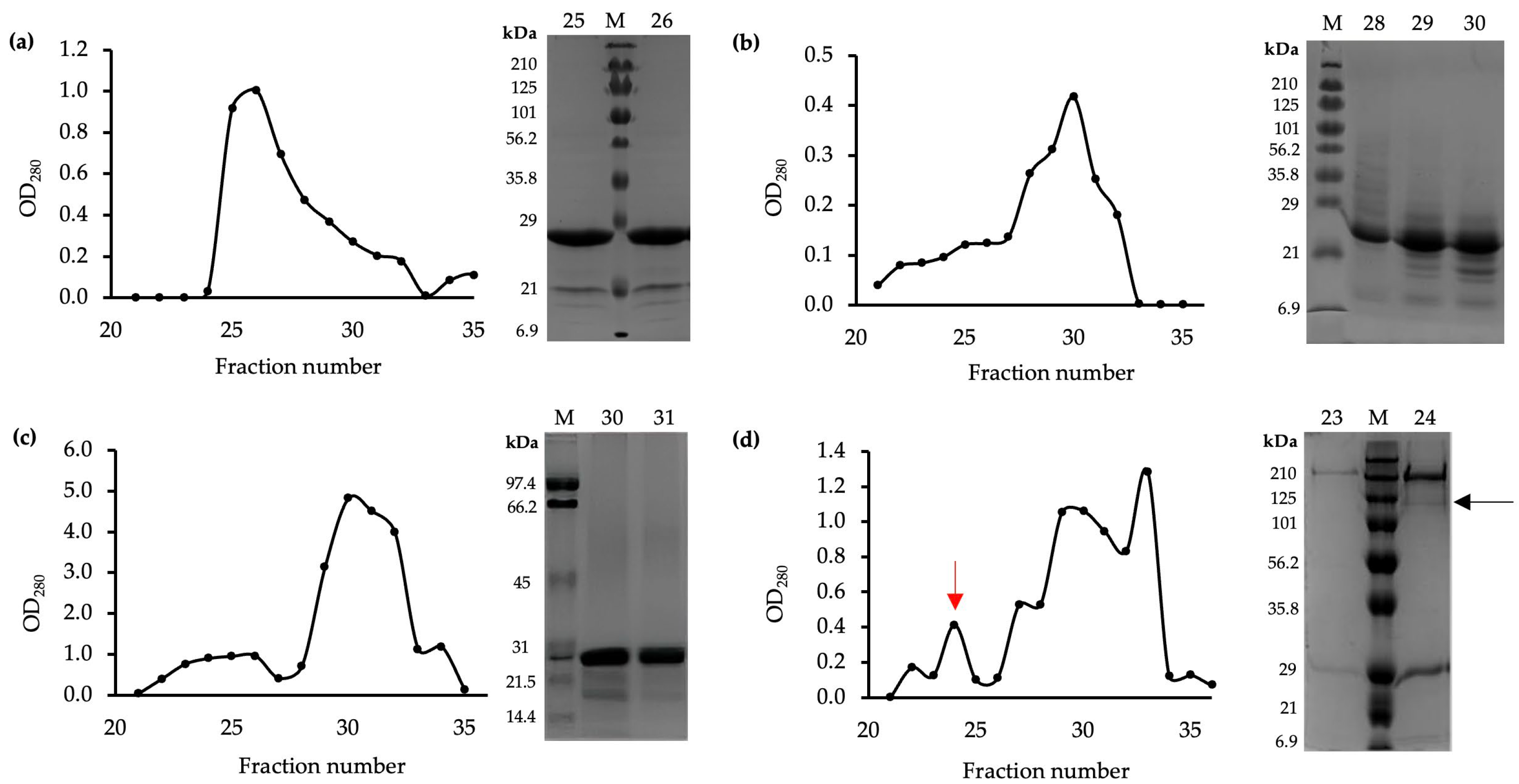 Preprints 111063 g002