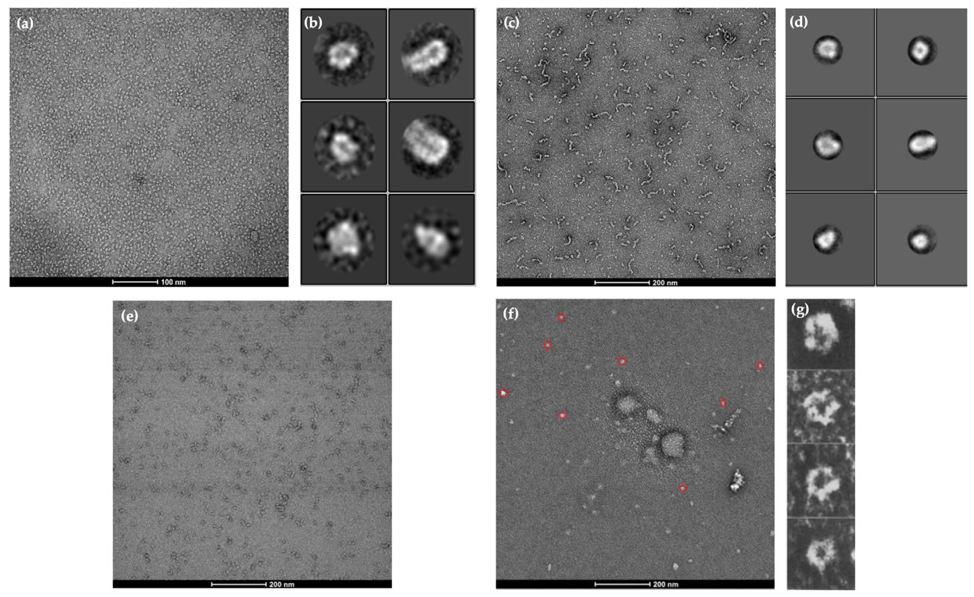 Preprints 111063 g003