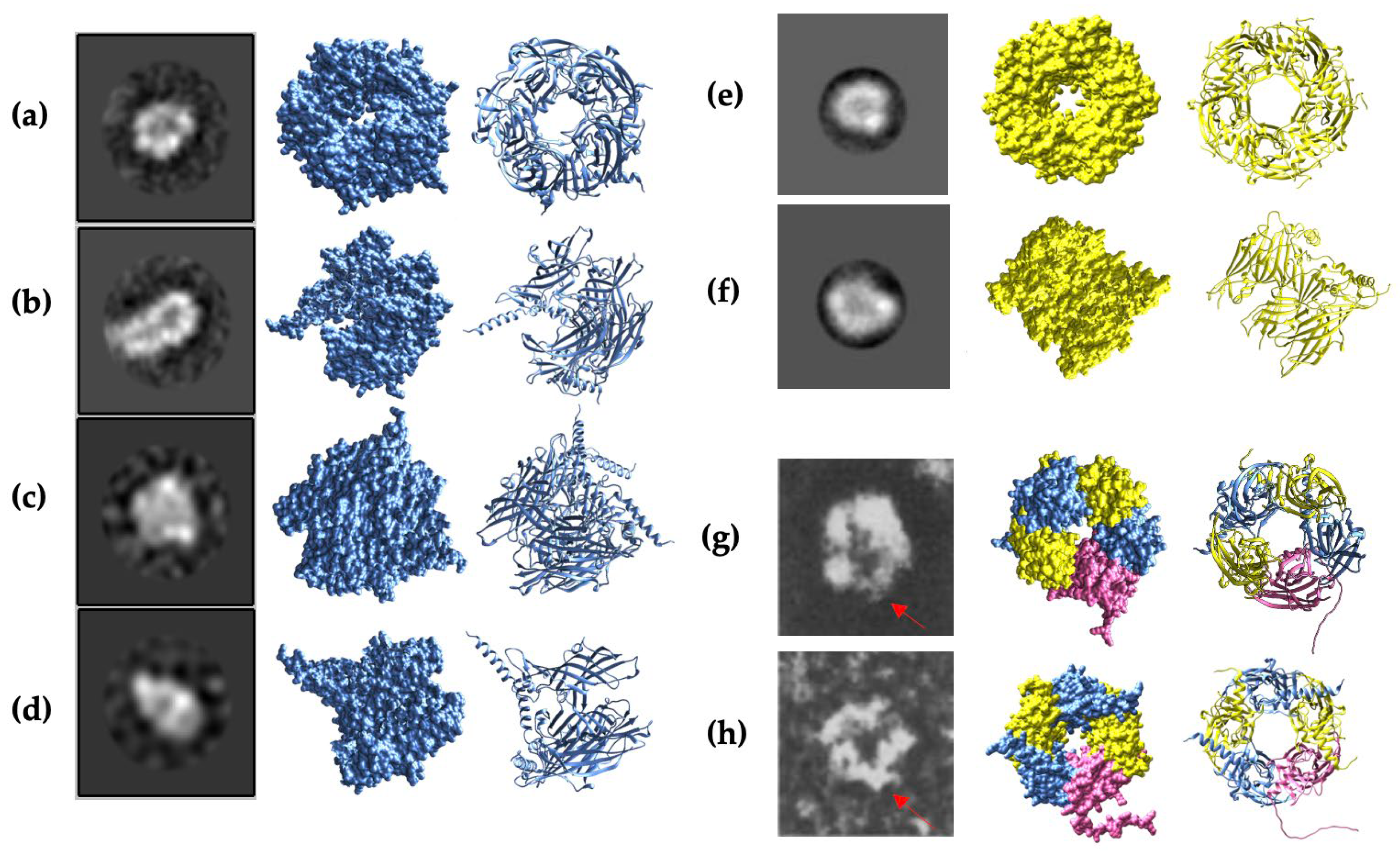 Preprints 111063 g005