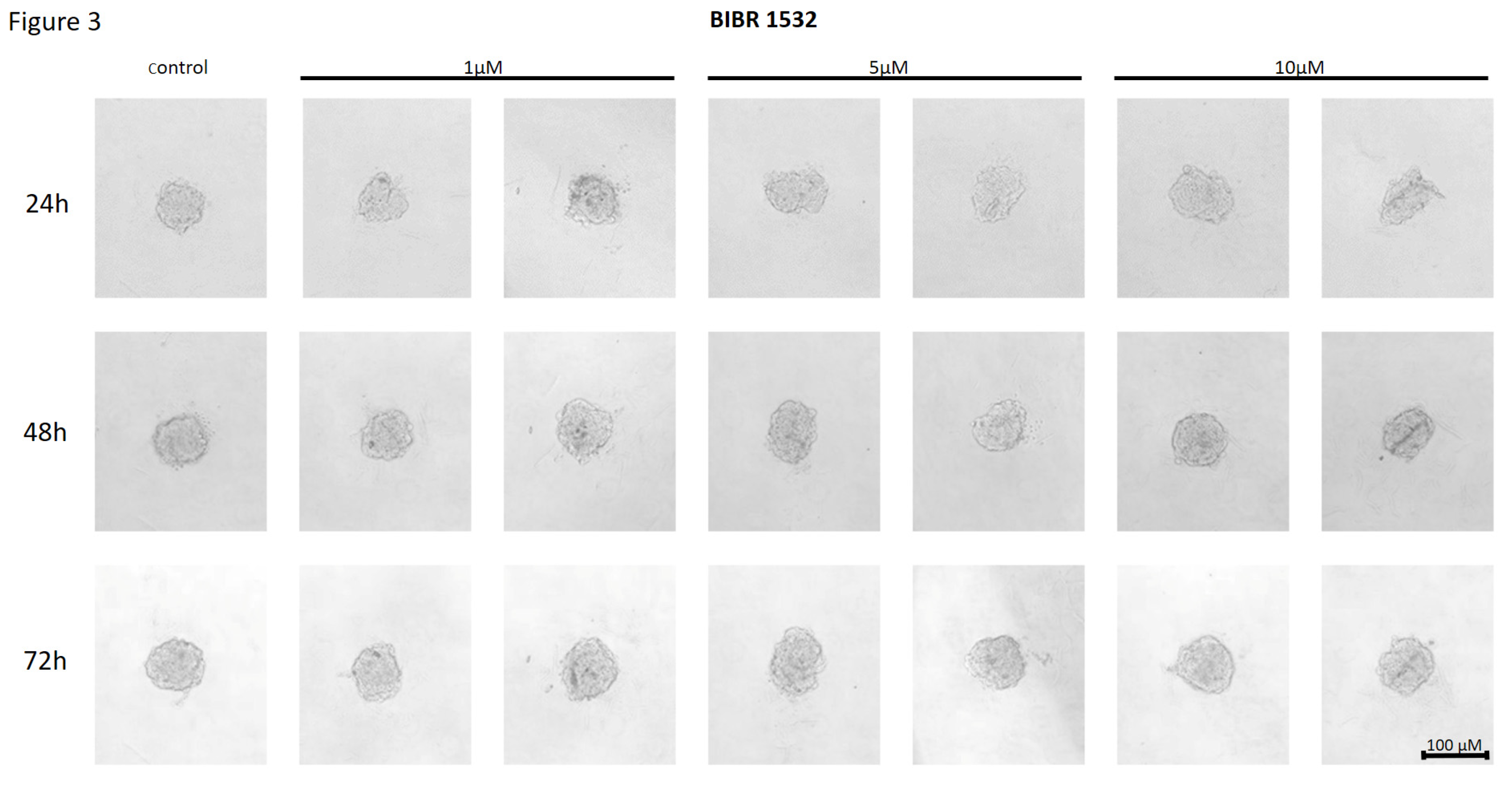 Preprints 120958 g003