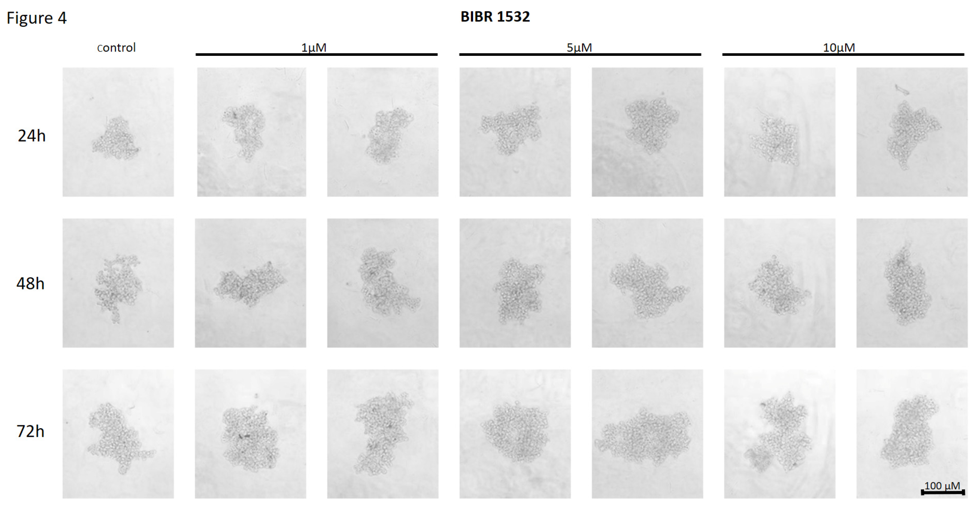 Preprints 120958 g004