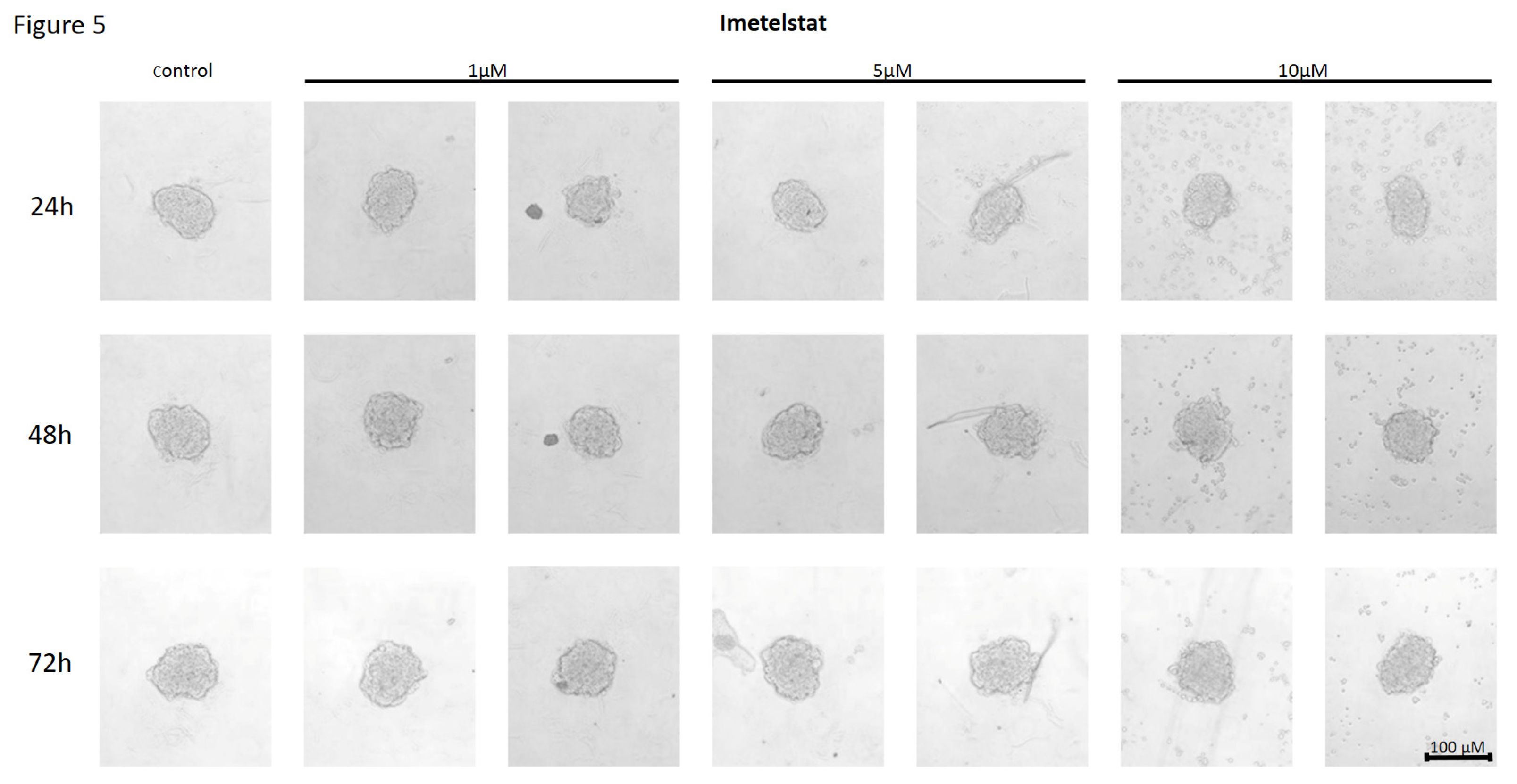 Preprints 120958 g005