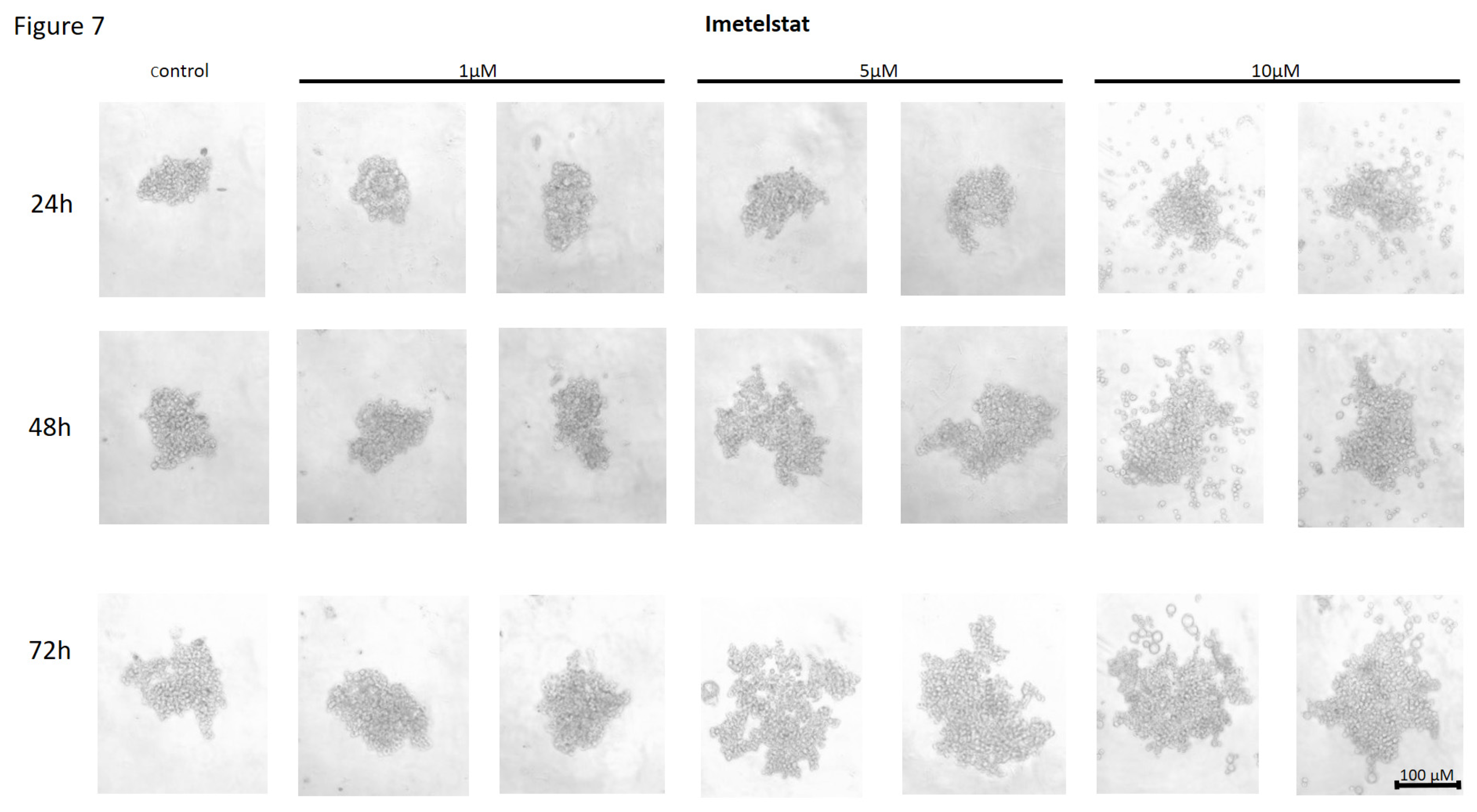 Preprints 120958 g007