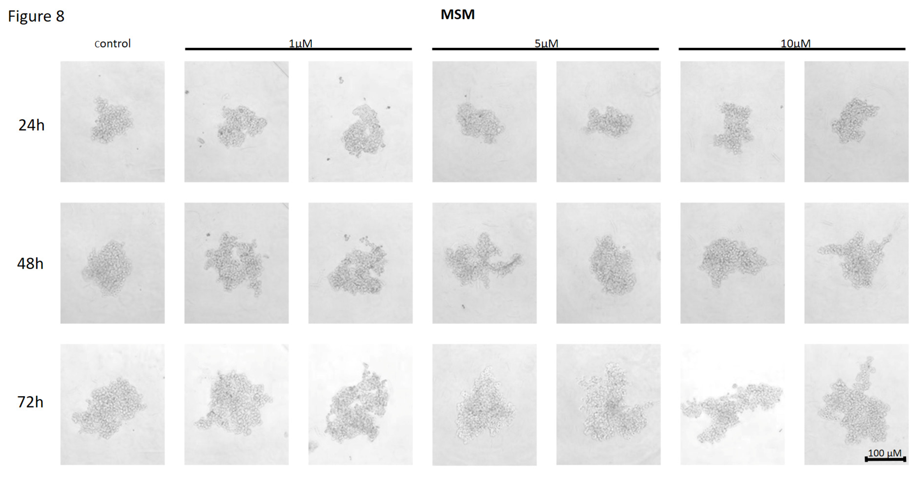 Preprints 120958 g008