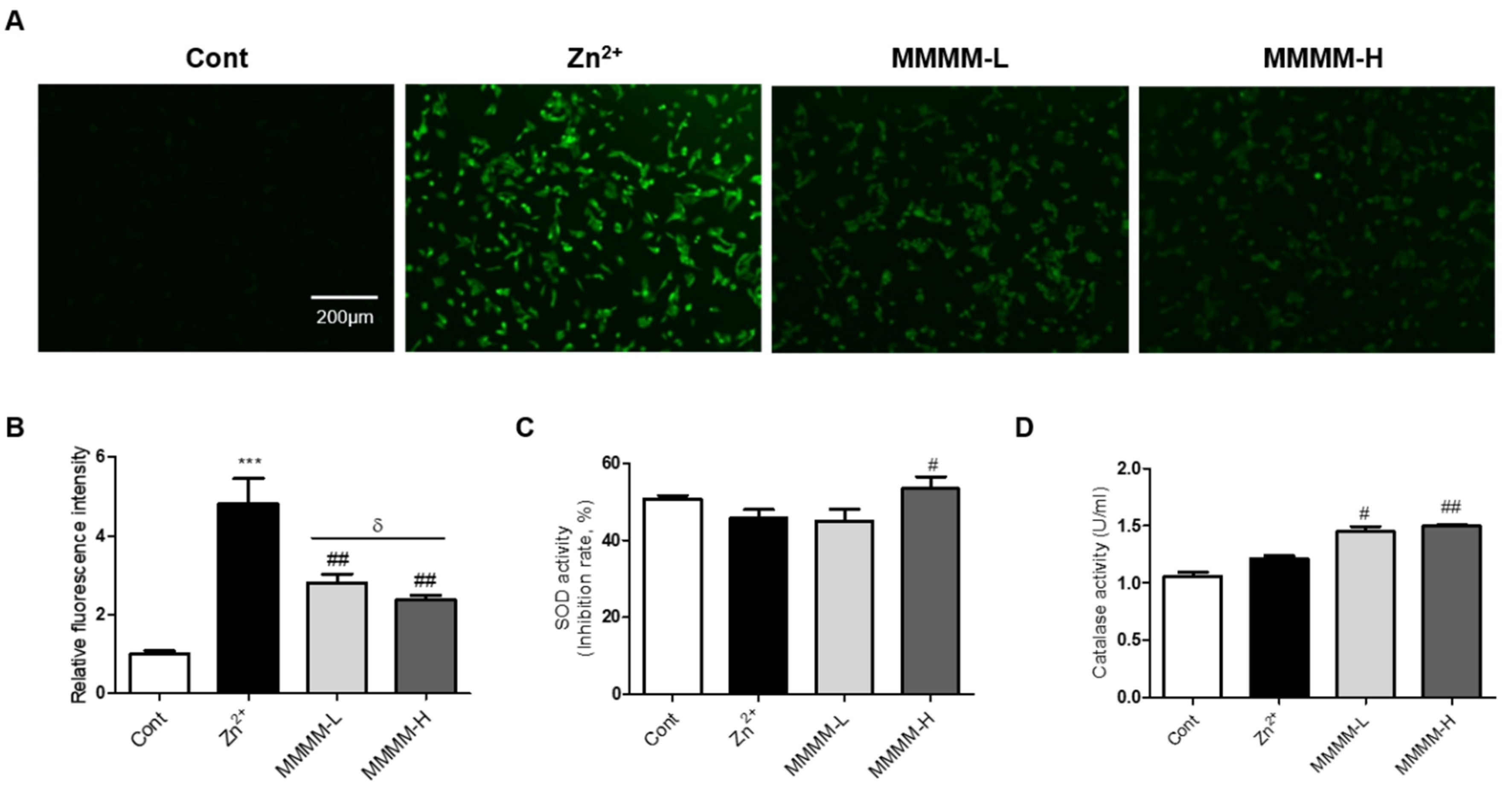 Preprints 80882 g003