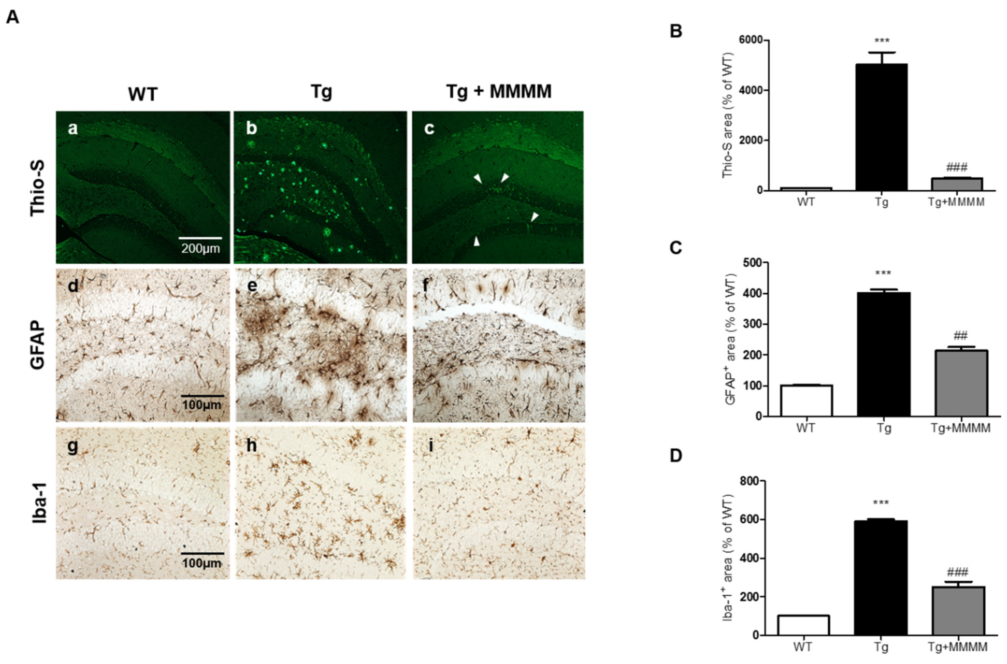 Preprints 80882 g005