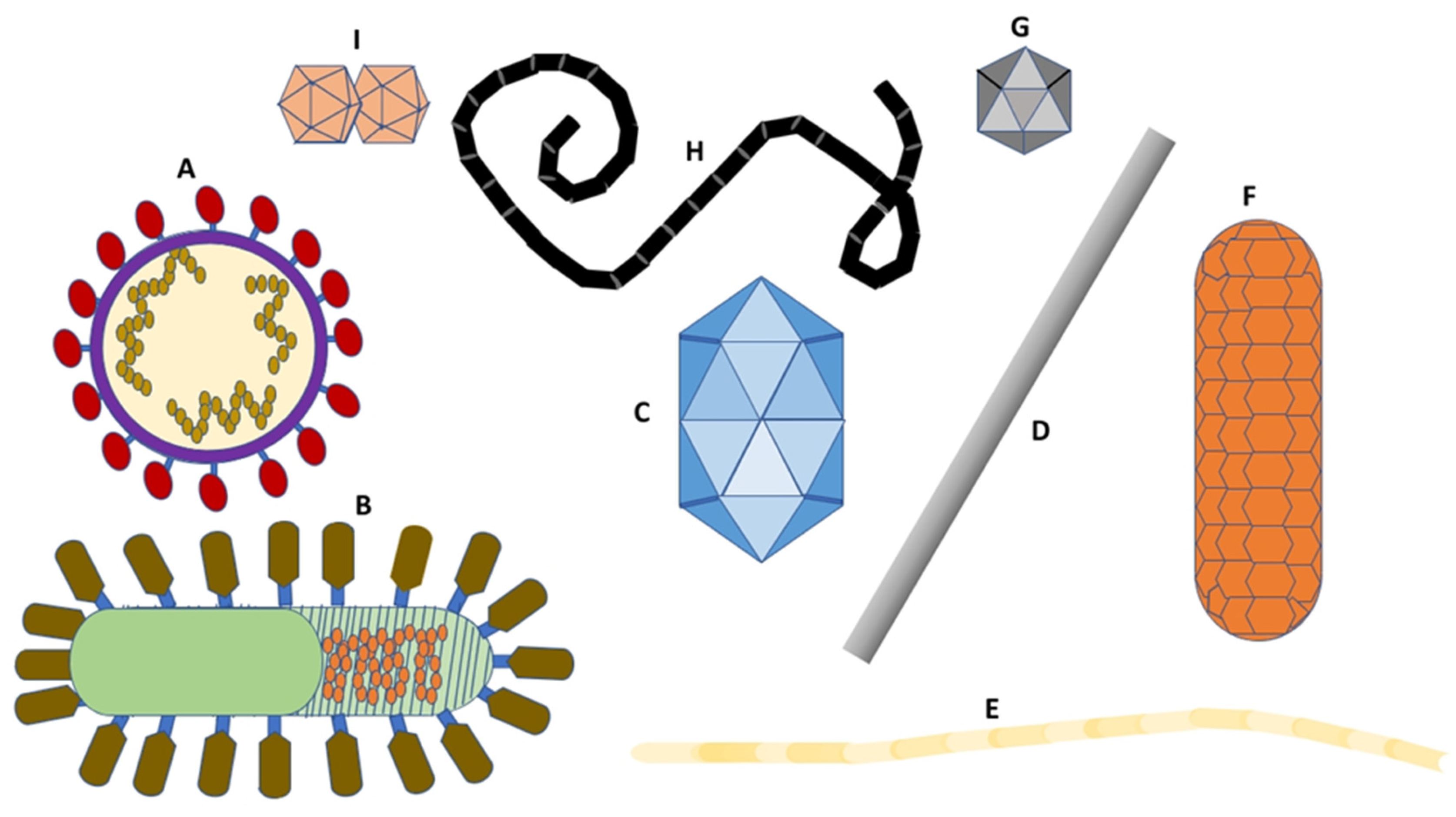 Preprints 106894 g004