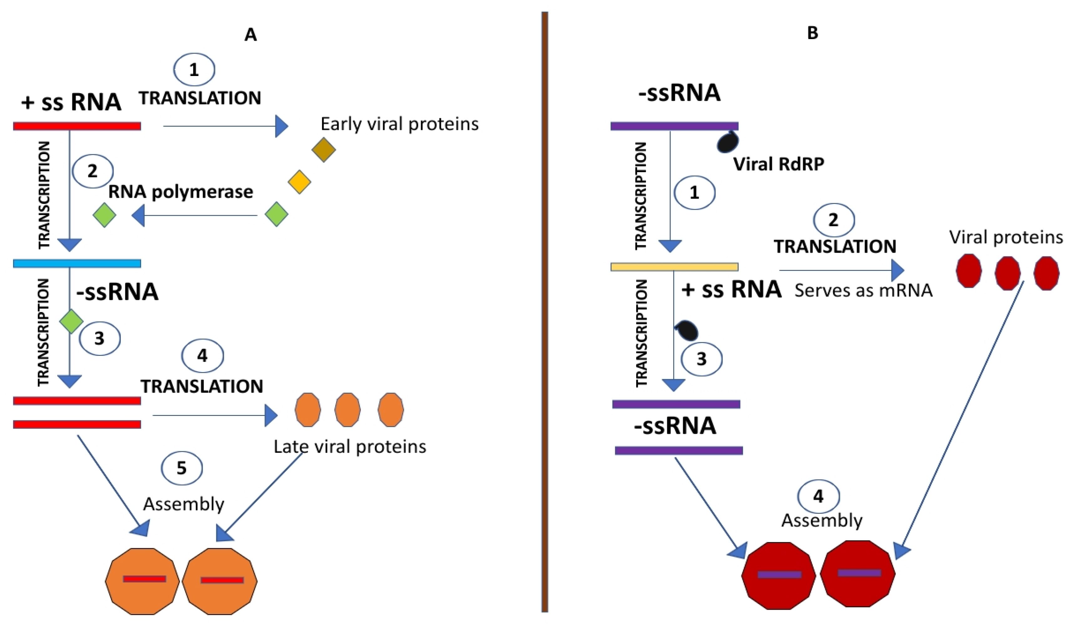 Preprints 106894 g009a