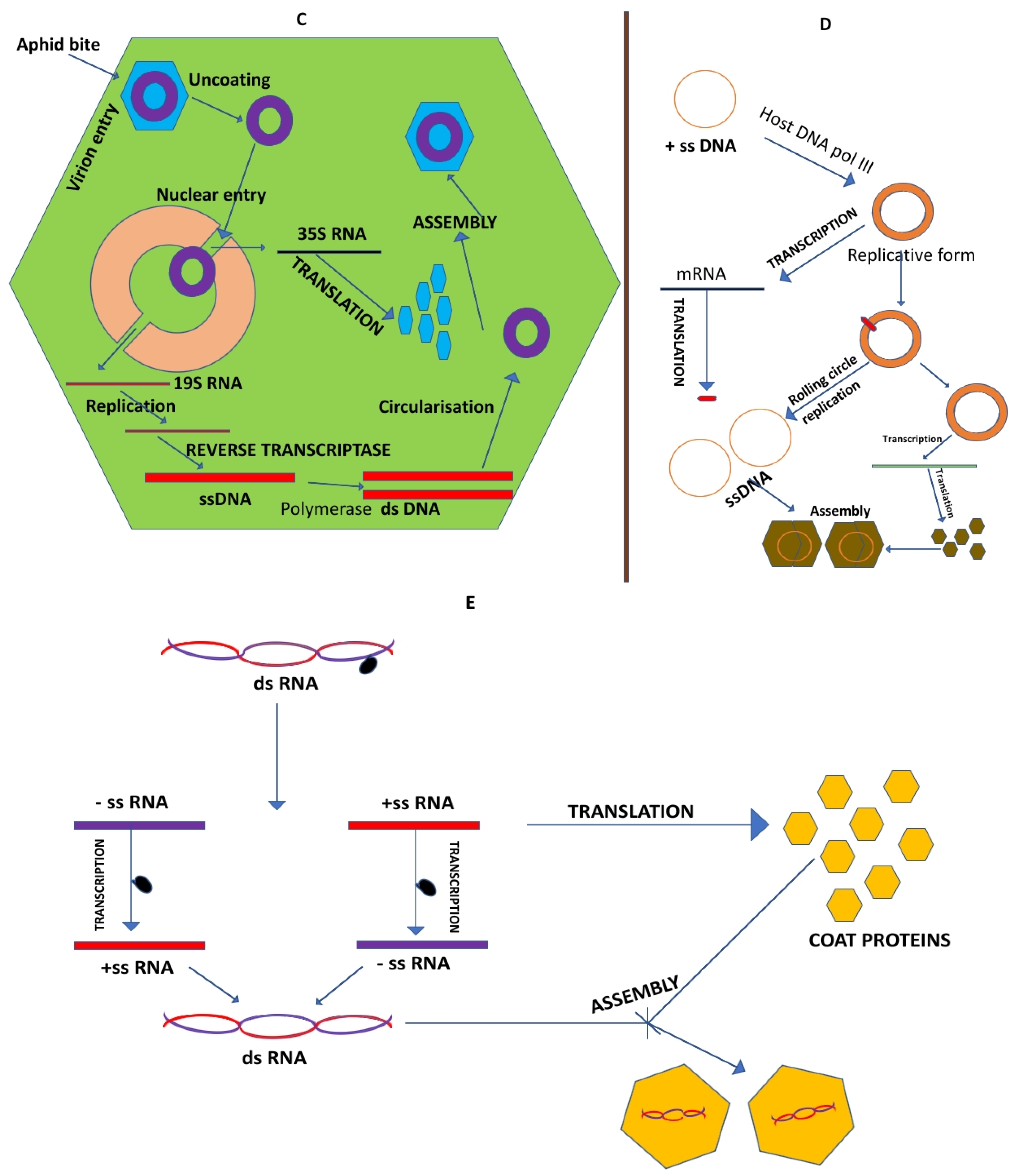 Preprints 106894 g009b