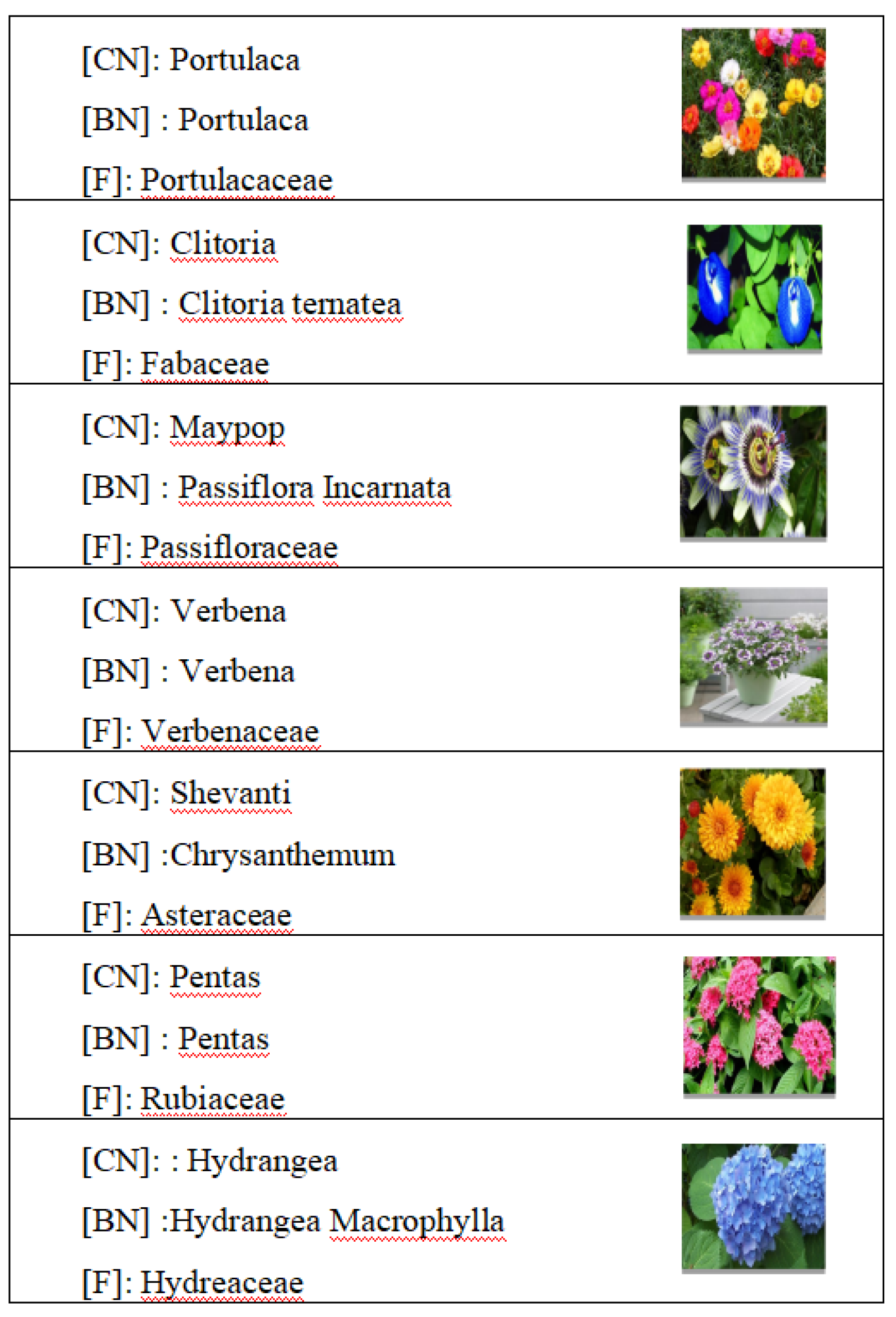 Preprints 85214 g002