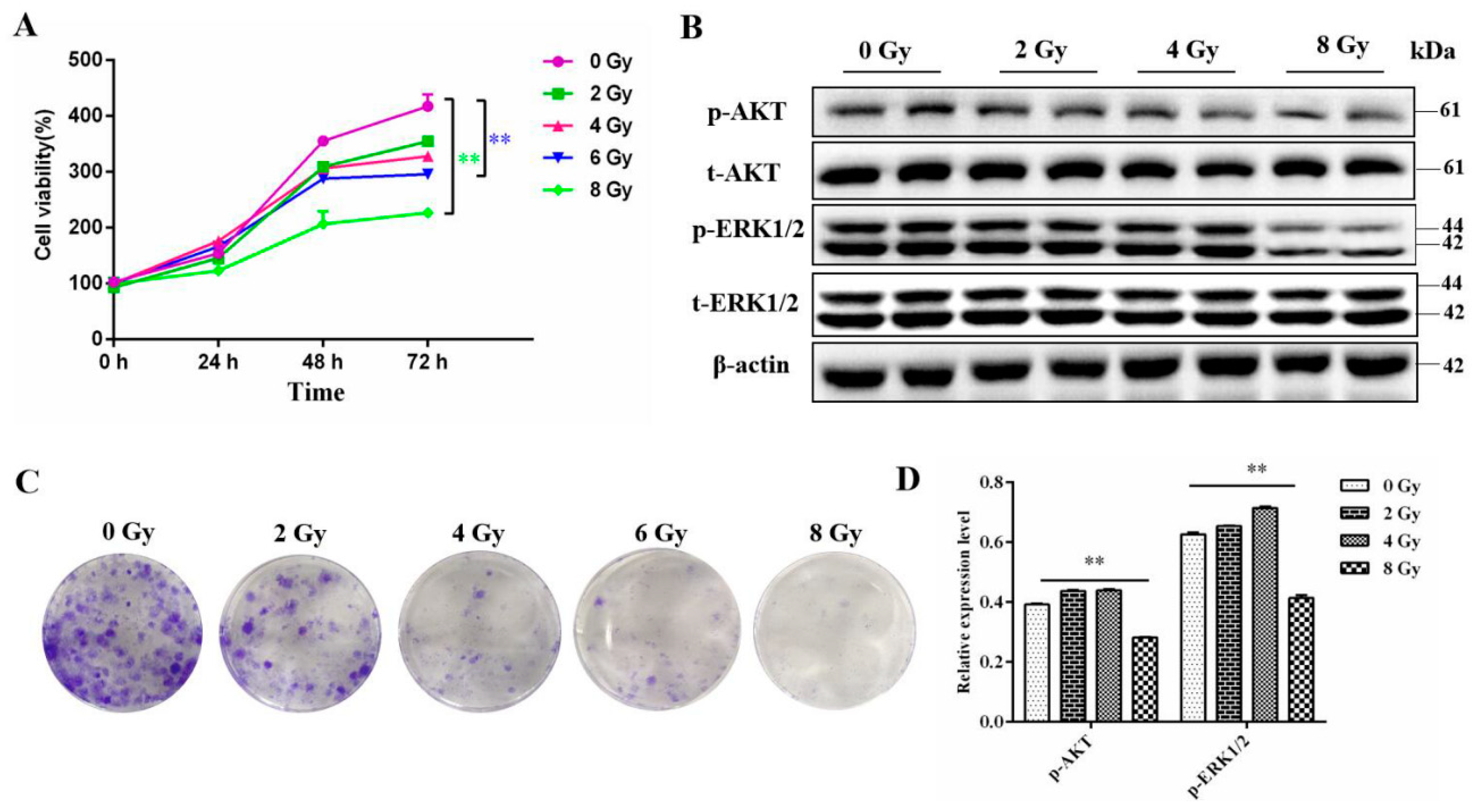 Preprints 111967 g001