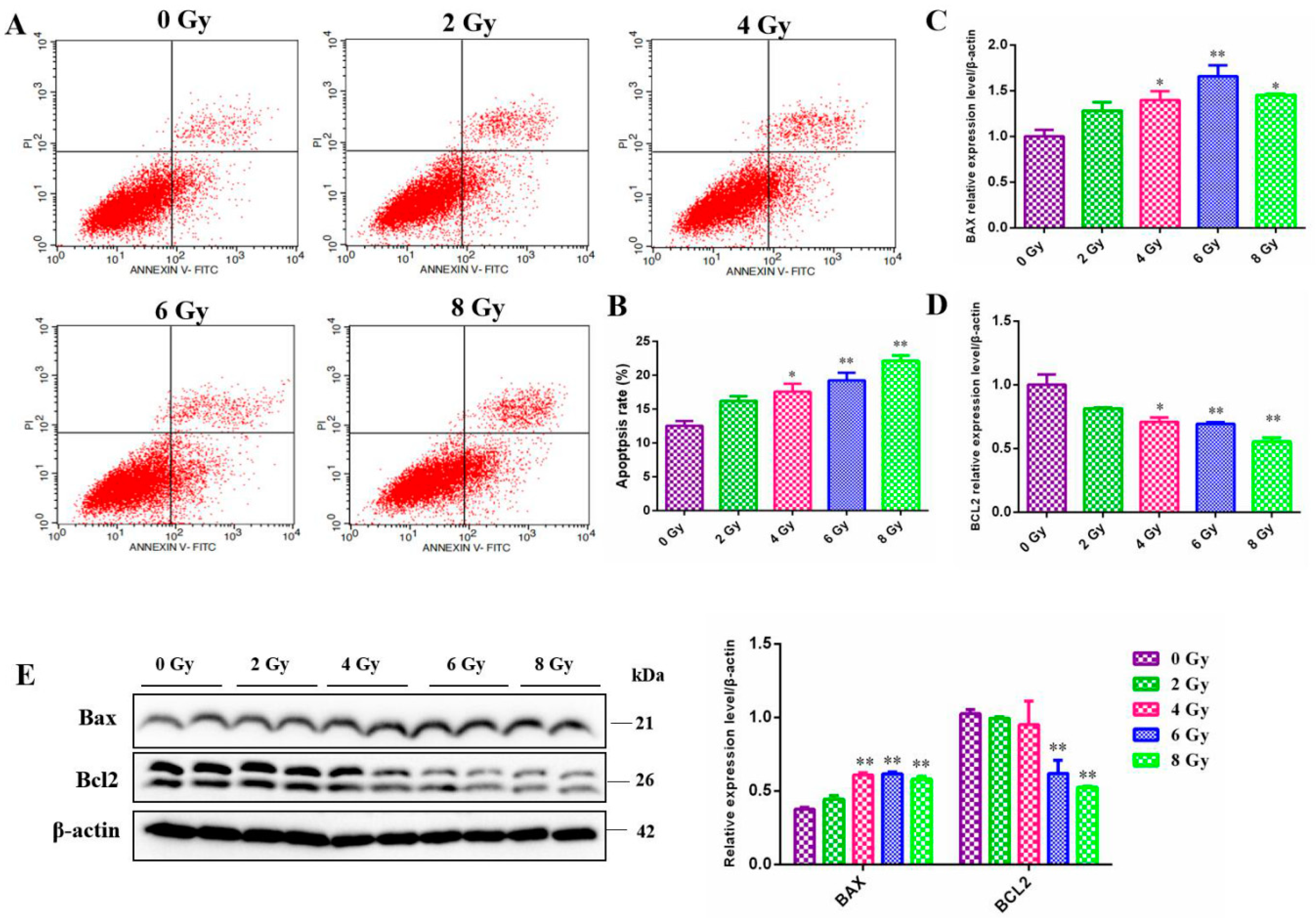 Preprints 111967 g003