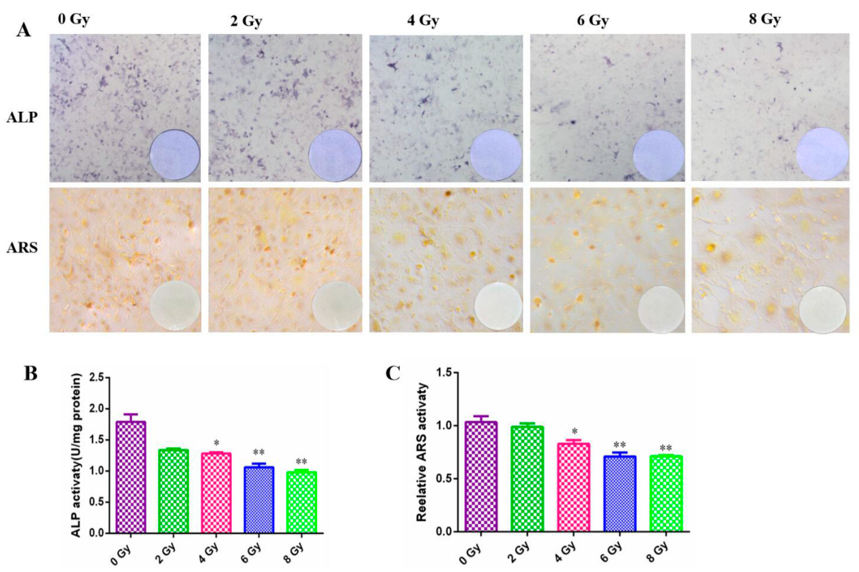 Preprints 111967 g004