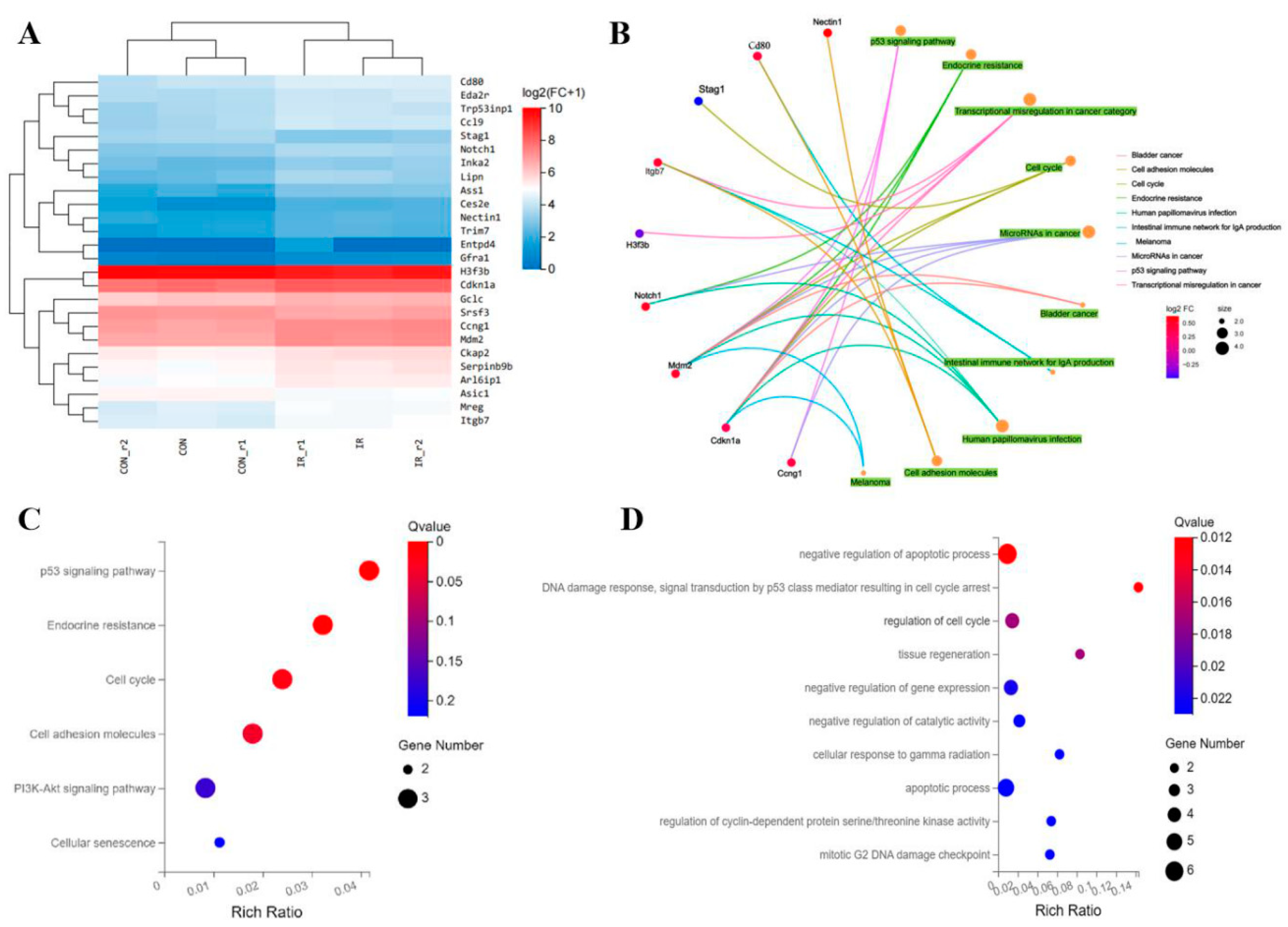 Preprints 111967 g006