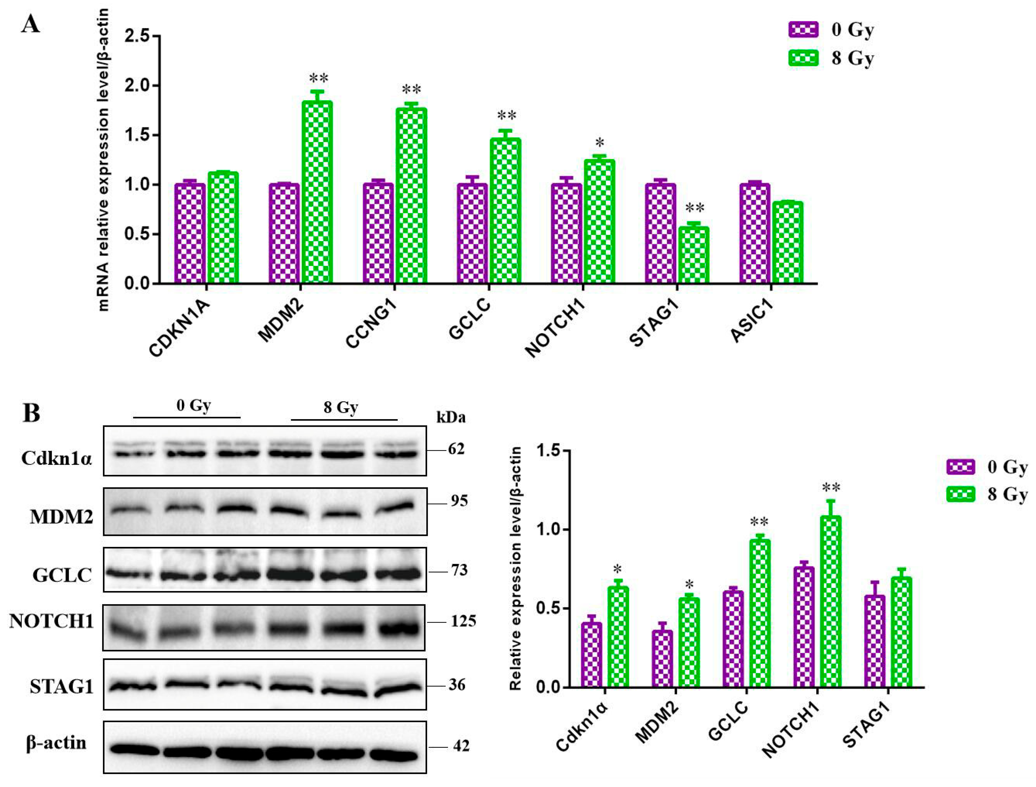 Preprints 111967 g007