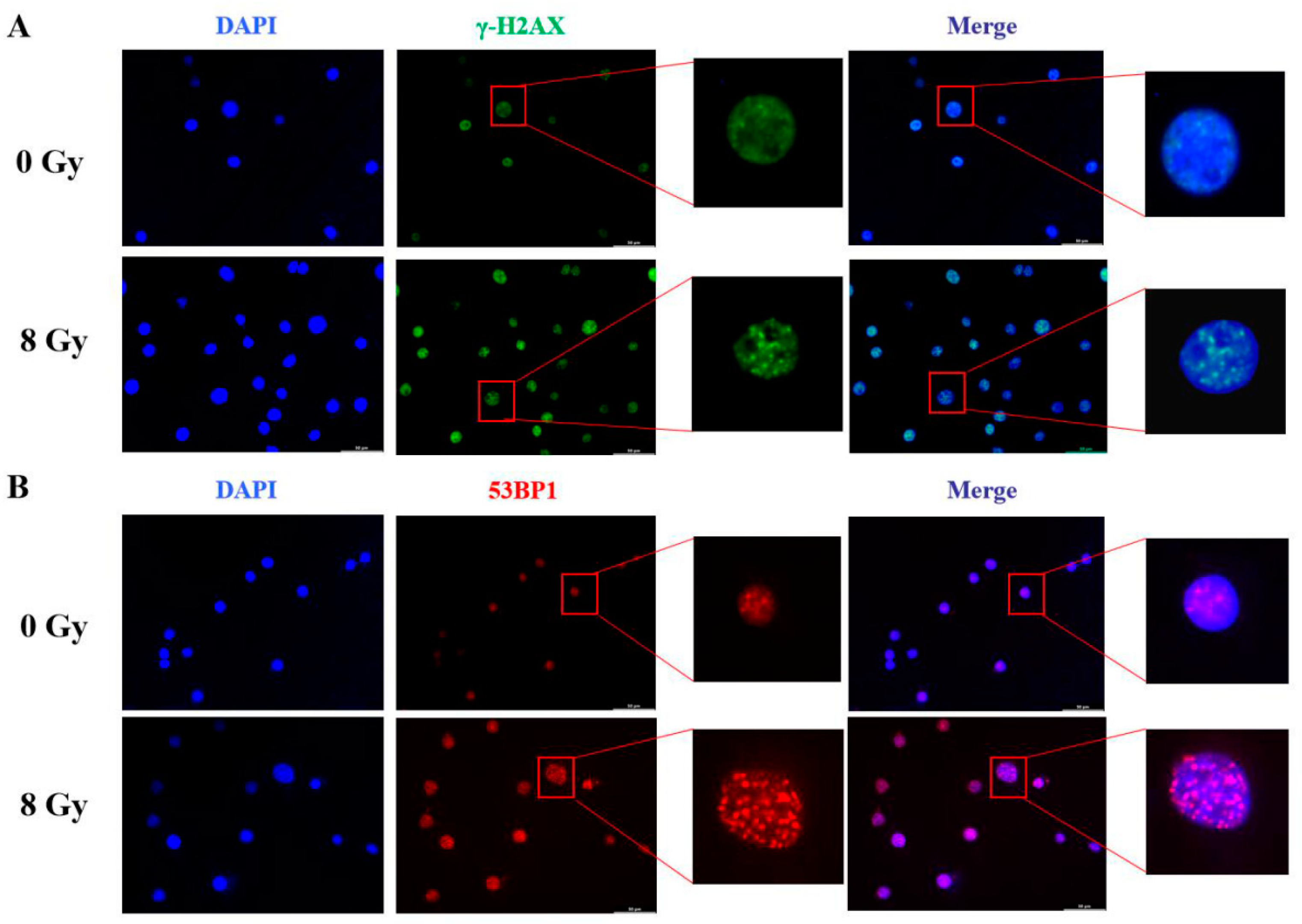 Preprints 111967 g008