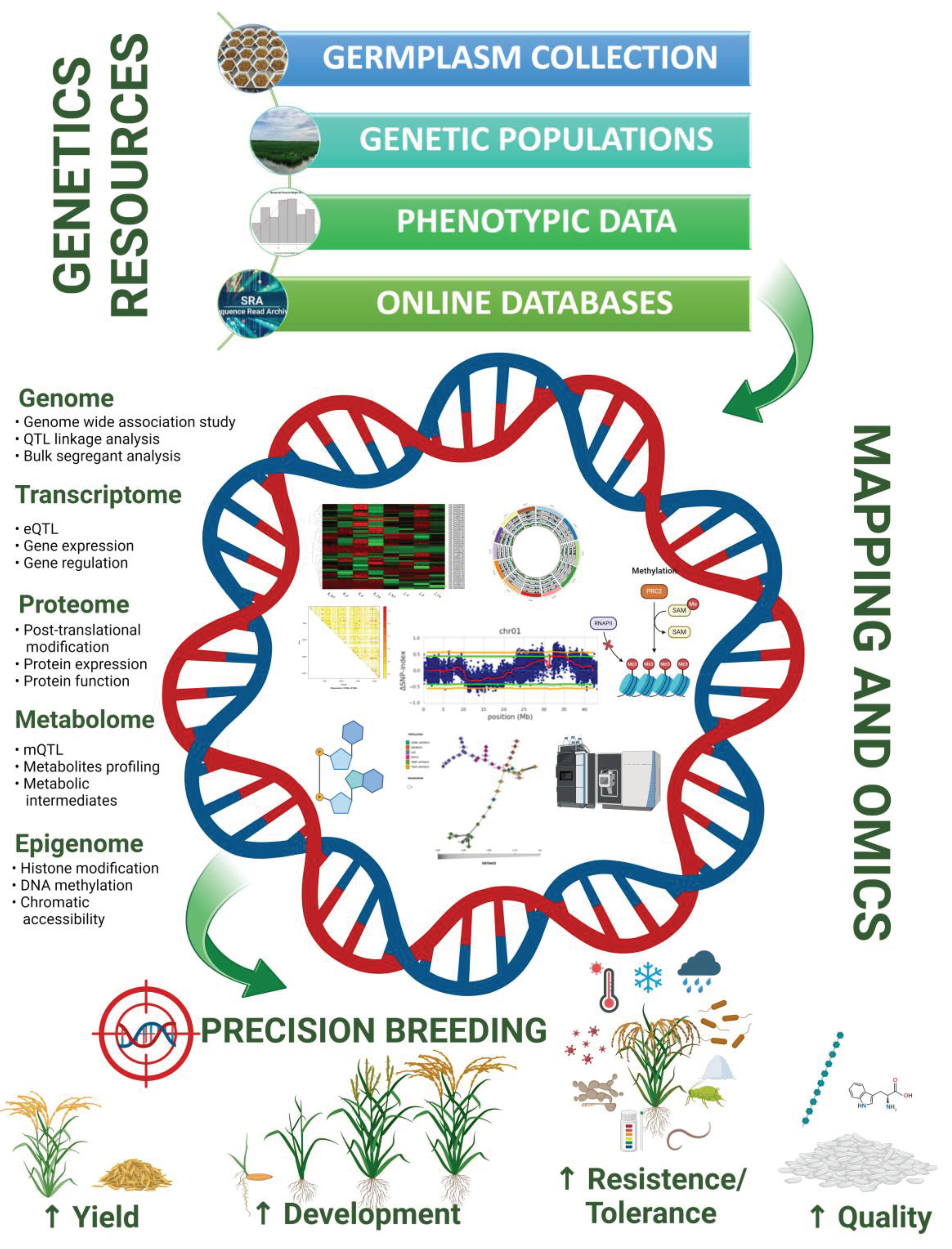 Preprints 103160 g001