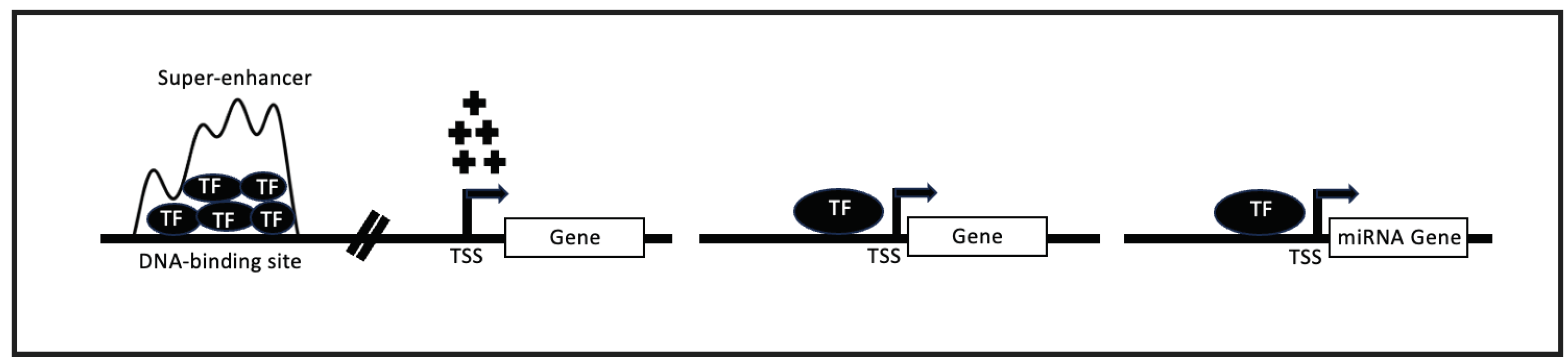 Preprints 101656 g001