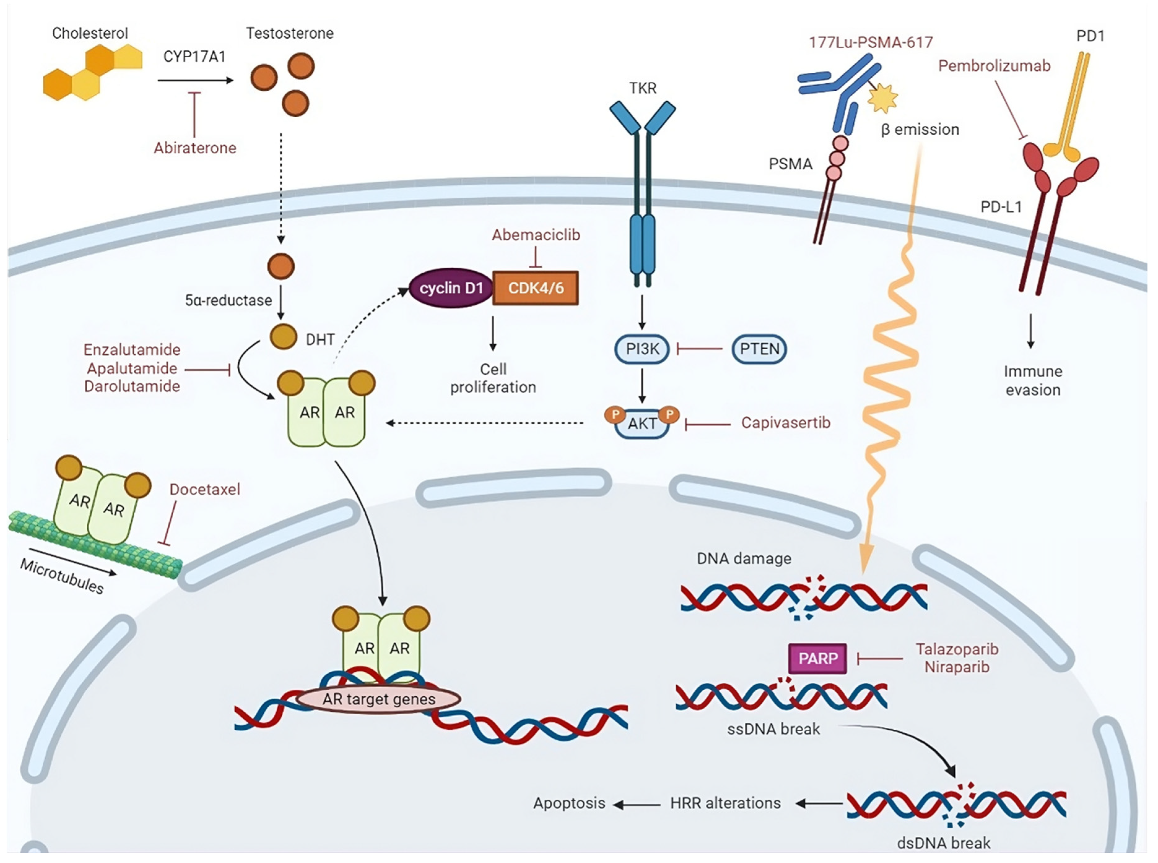 Preprints 84519 g001