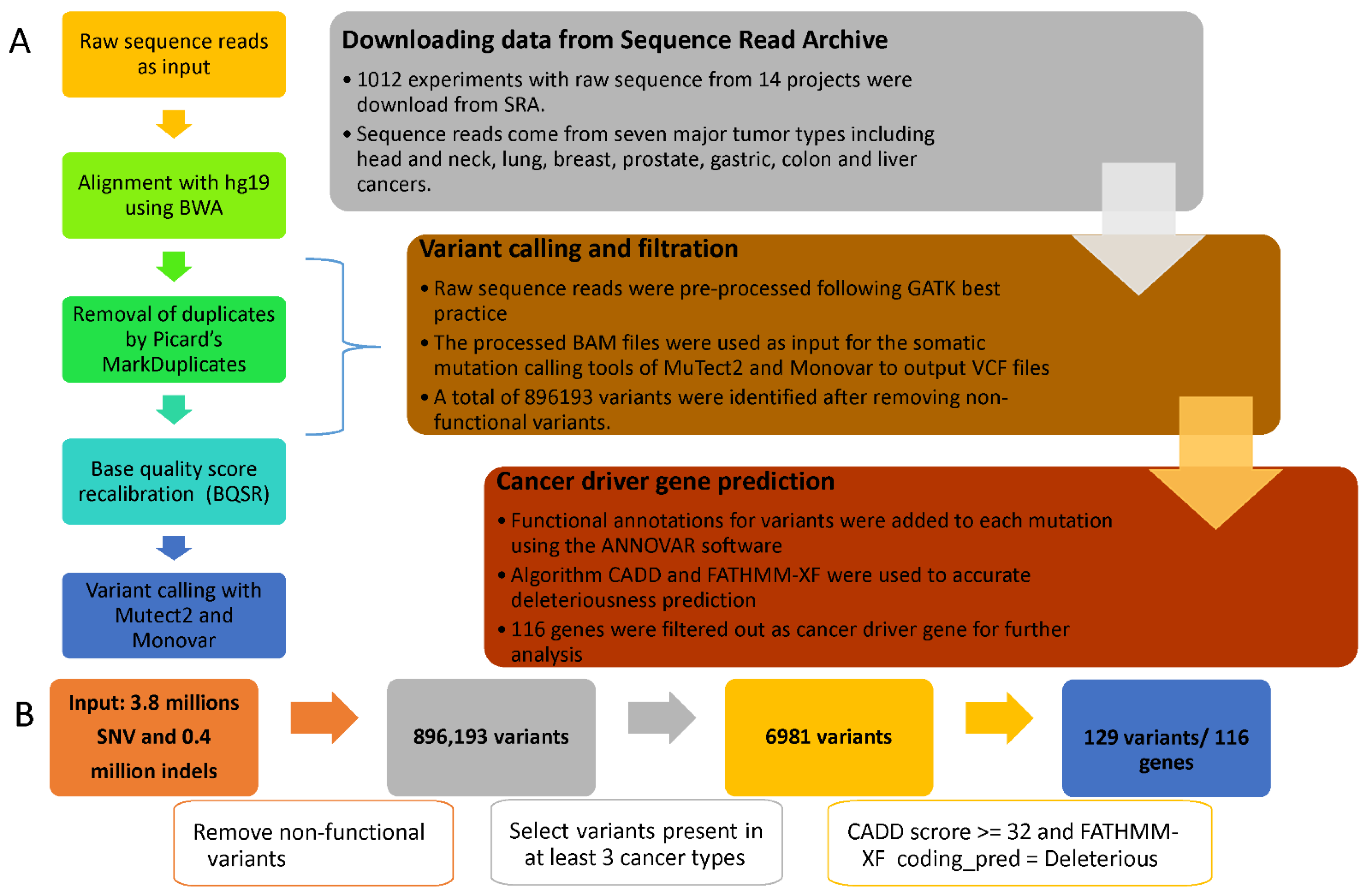 Preprints 75658 g001