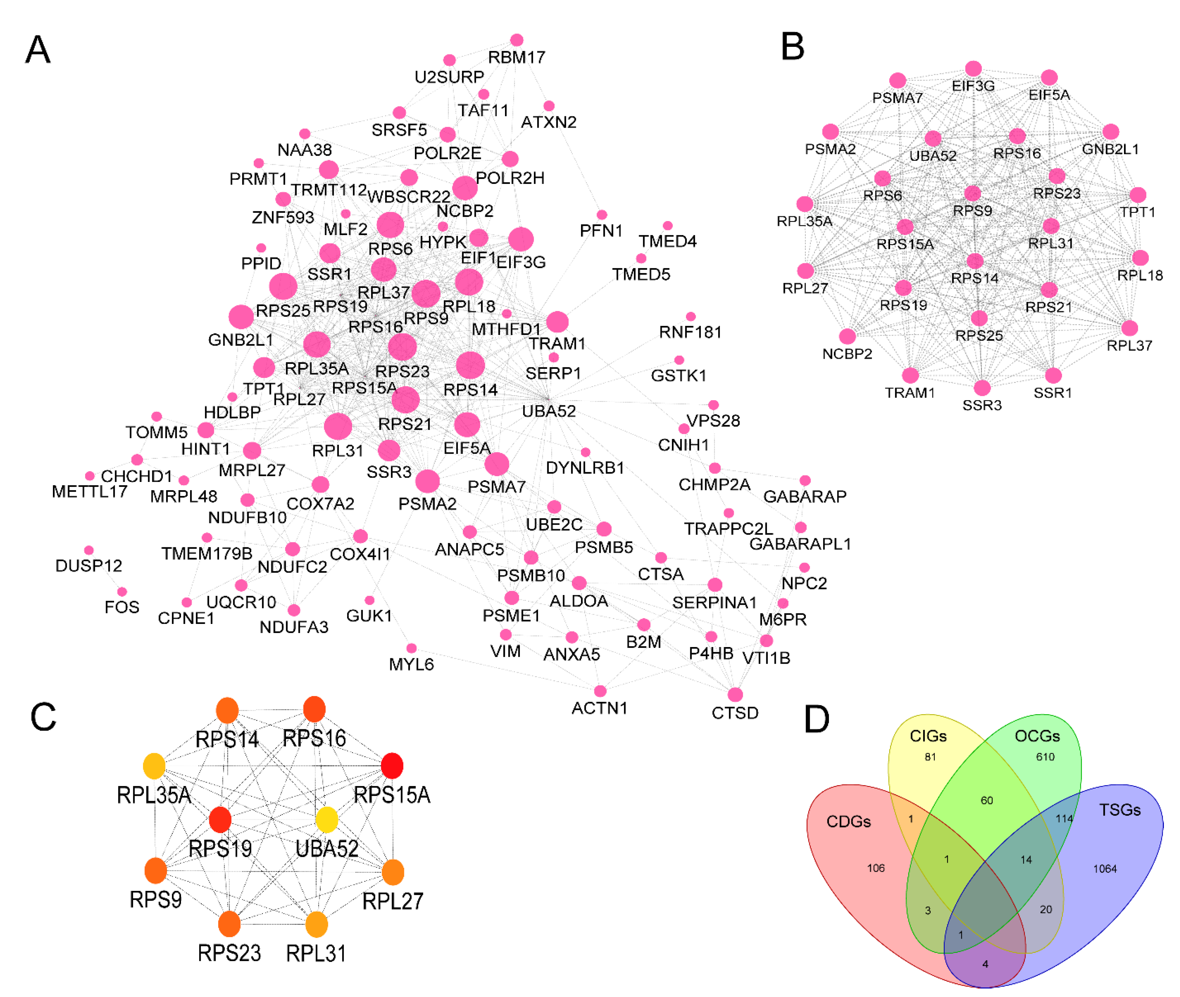 Preprints 75658 g004