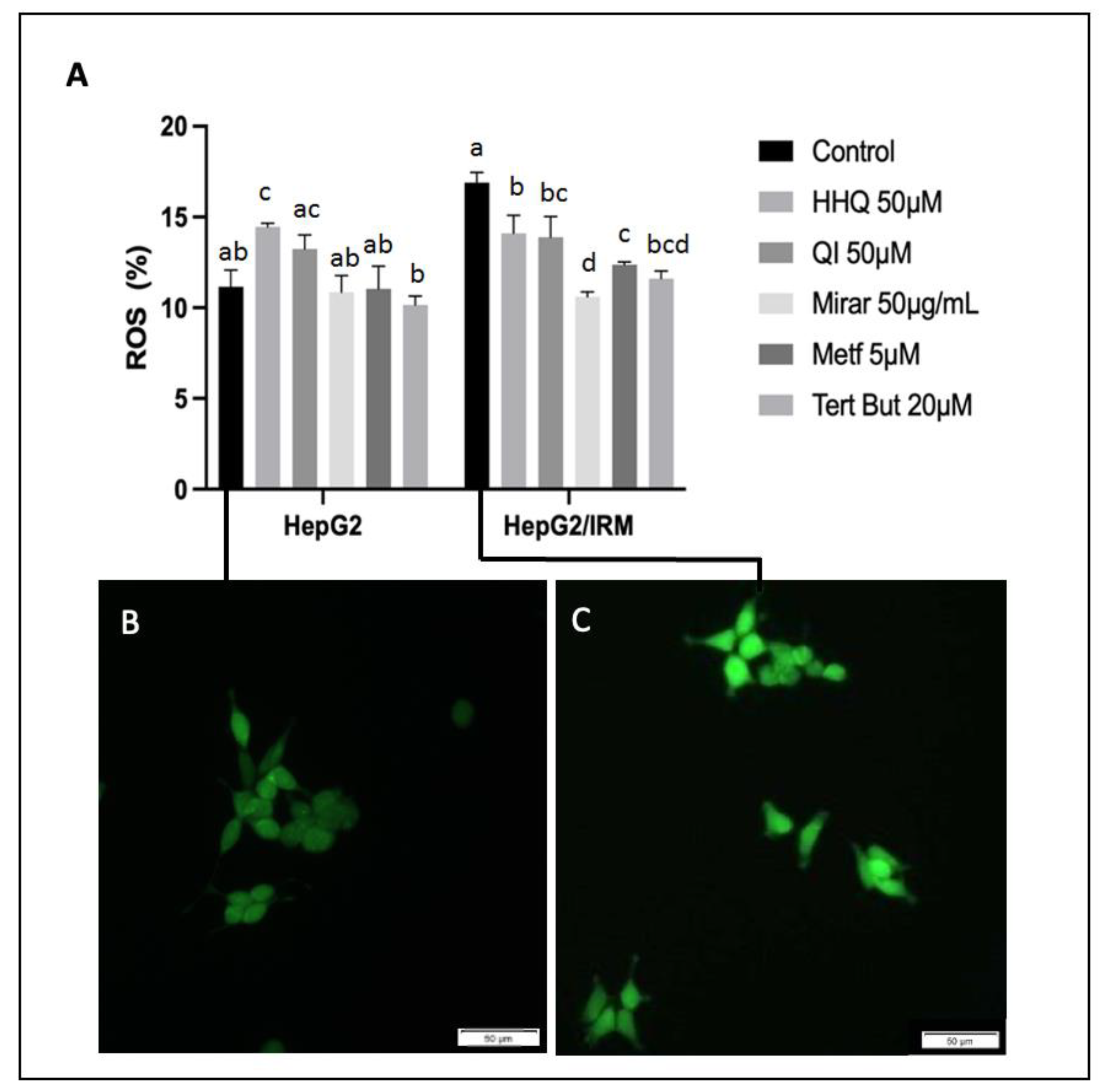 Preprints 81071 g009