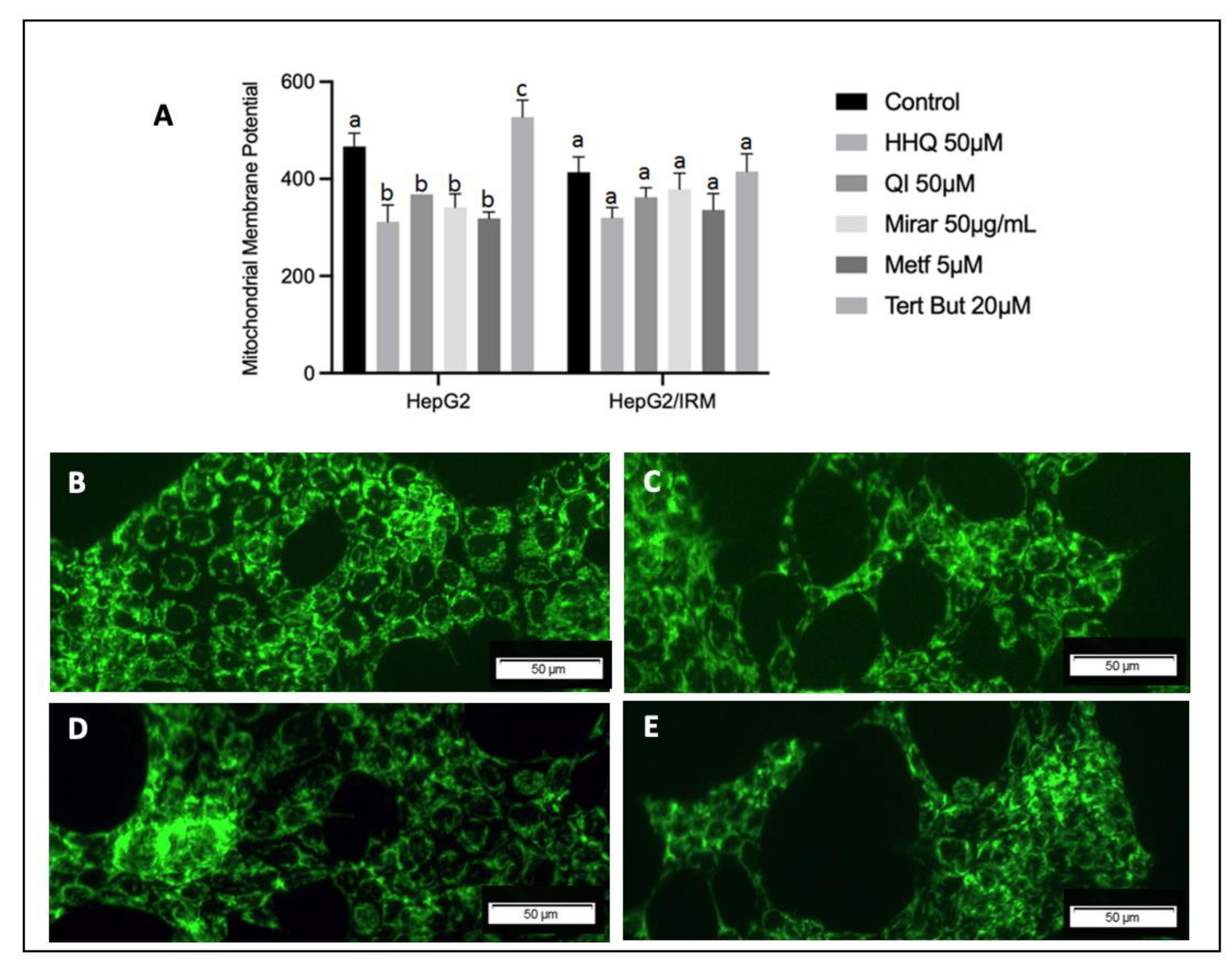 Preprints 81071 g010