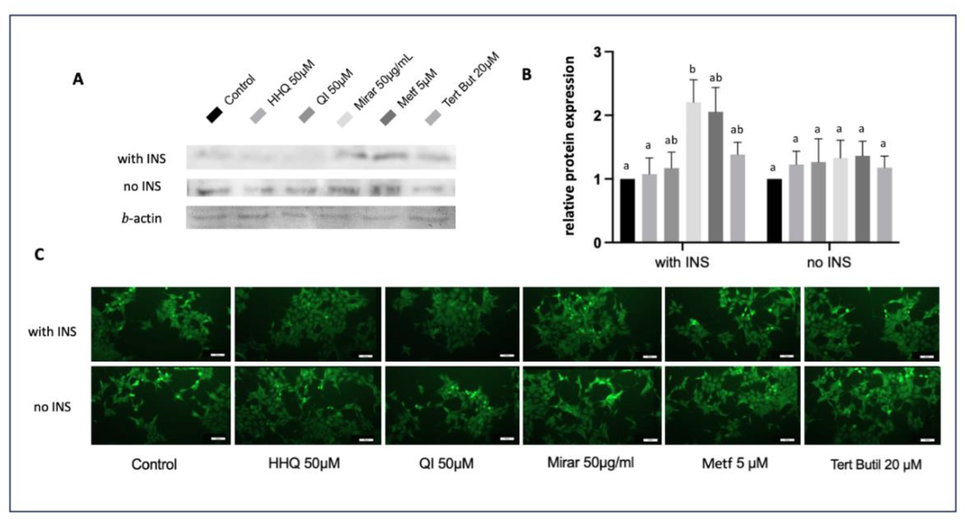 Preprints 81071 g012