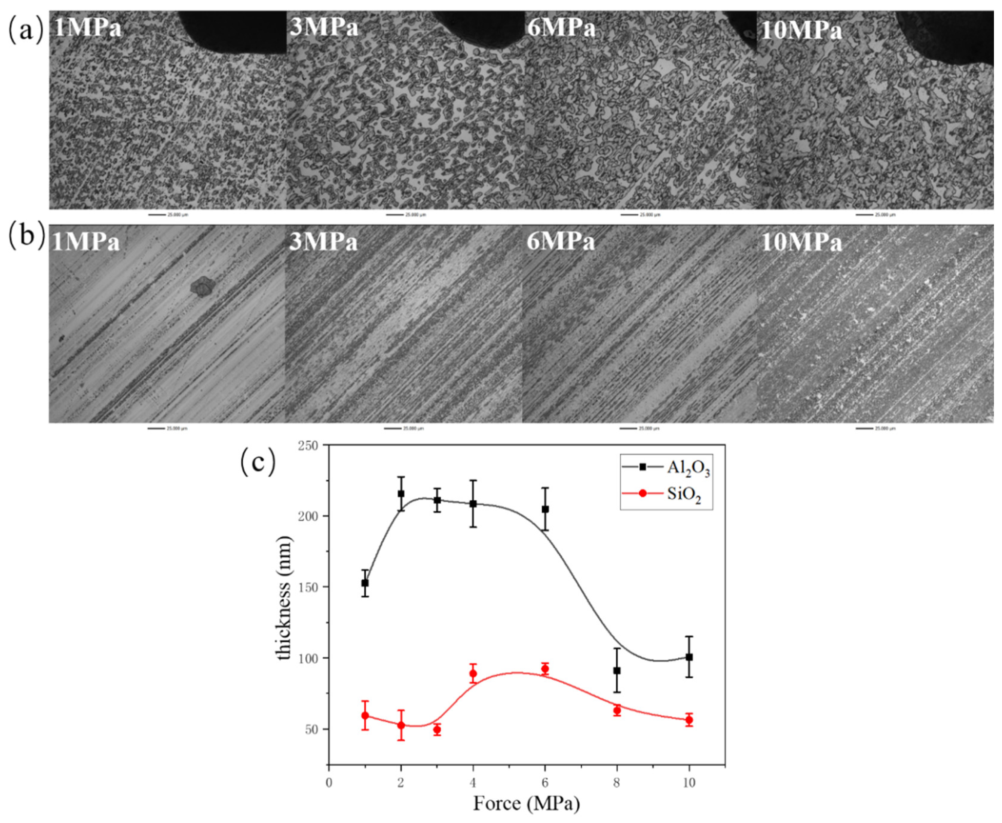 Preprints 100172 g003