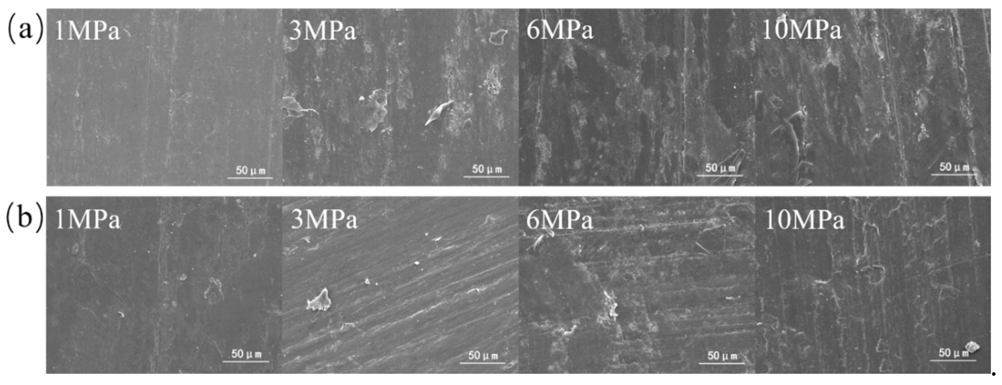 Preprints 100172 g004