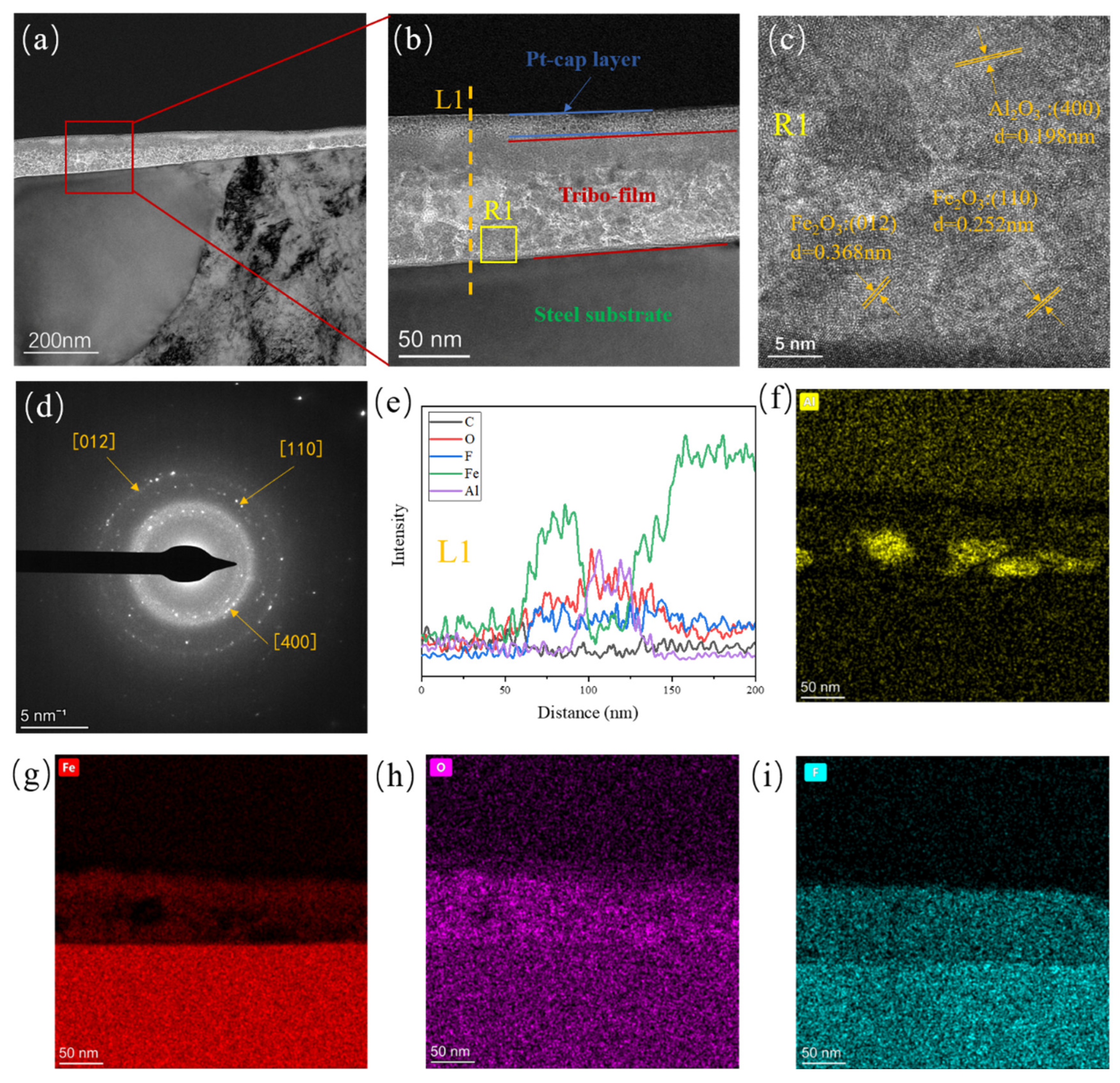 Preprints 100172 g008