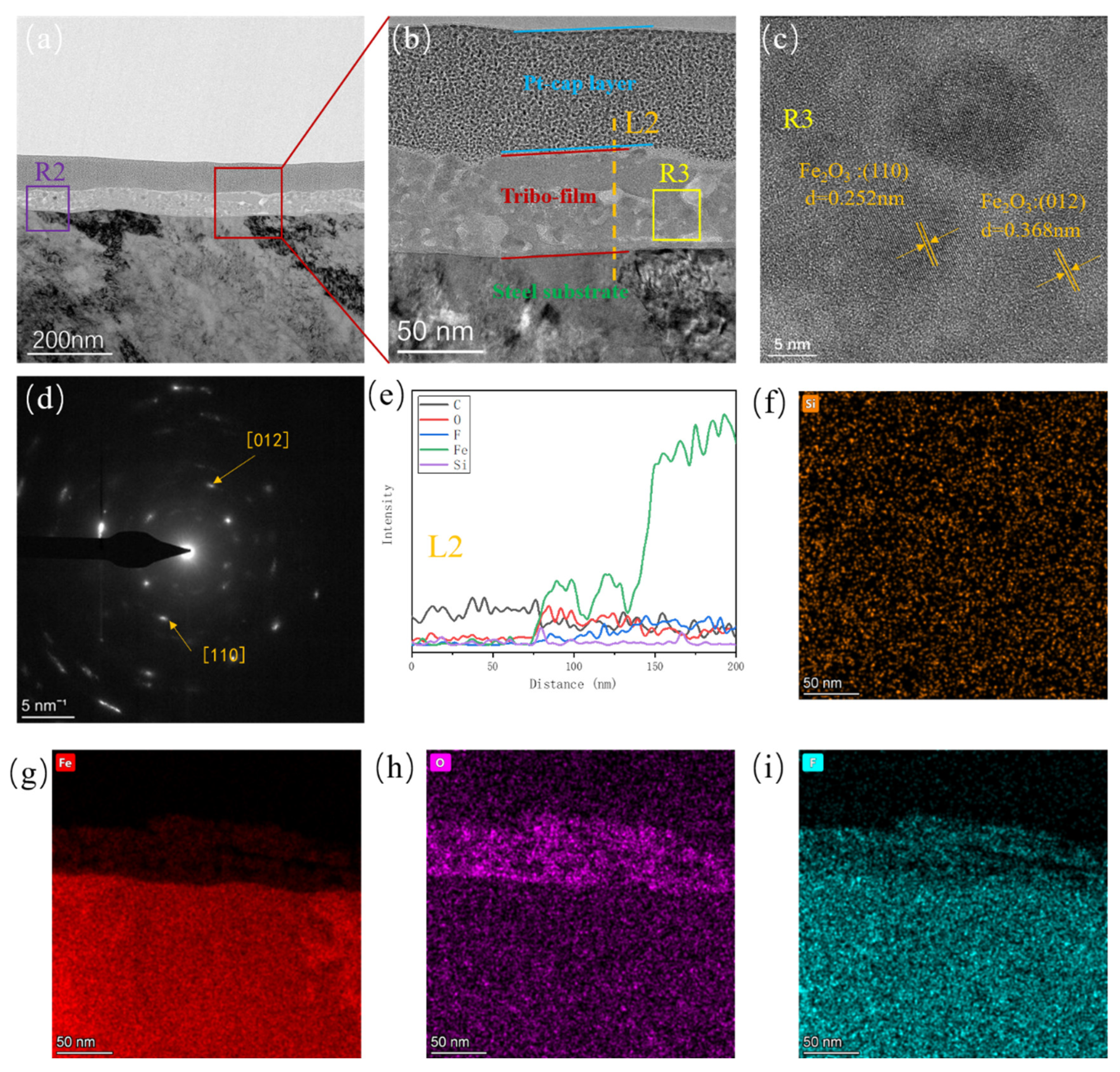 Preprints 100172 g009